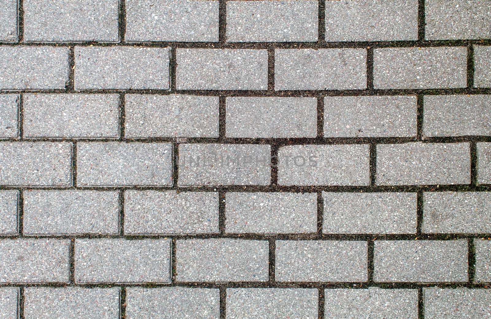 road paved with sidewalk tiles. beautiful brick background with, masonry texture of light gray bricks. outdoor closeup