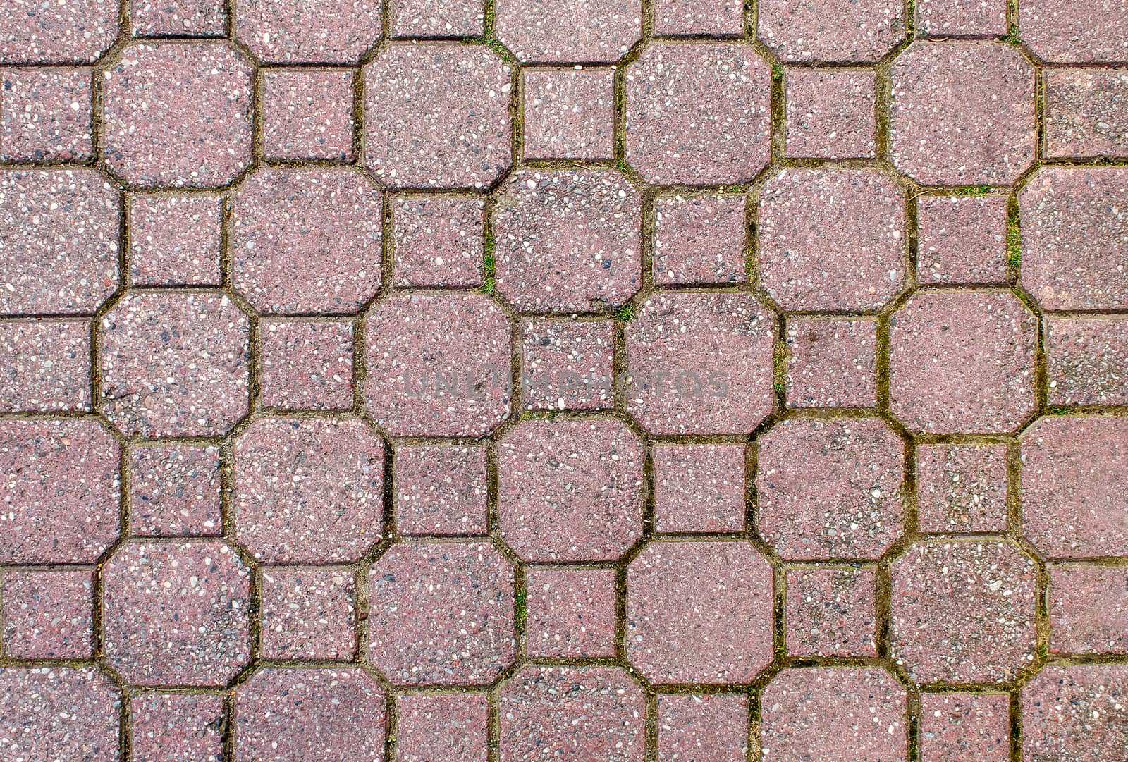 road paved with sidewalk tiles. beautiful brick background with, masonry texture of light brown bricks. outdoor closeup