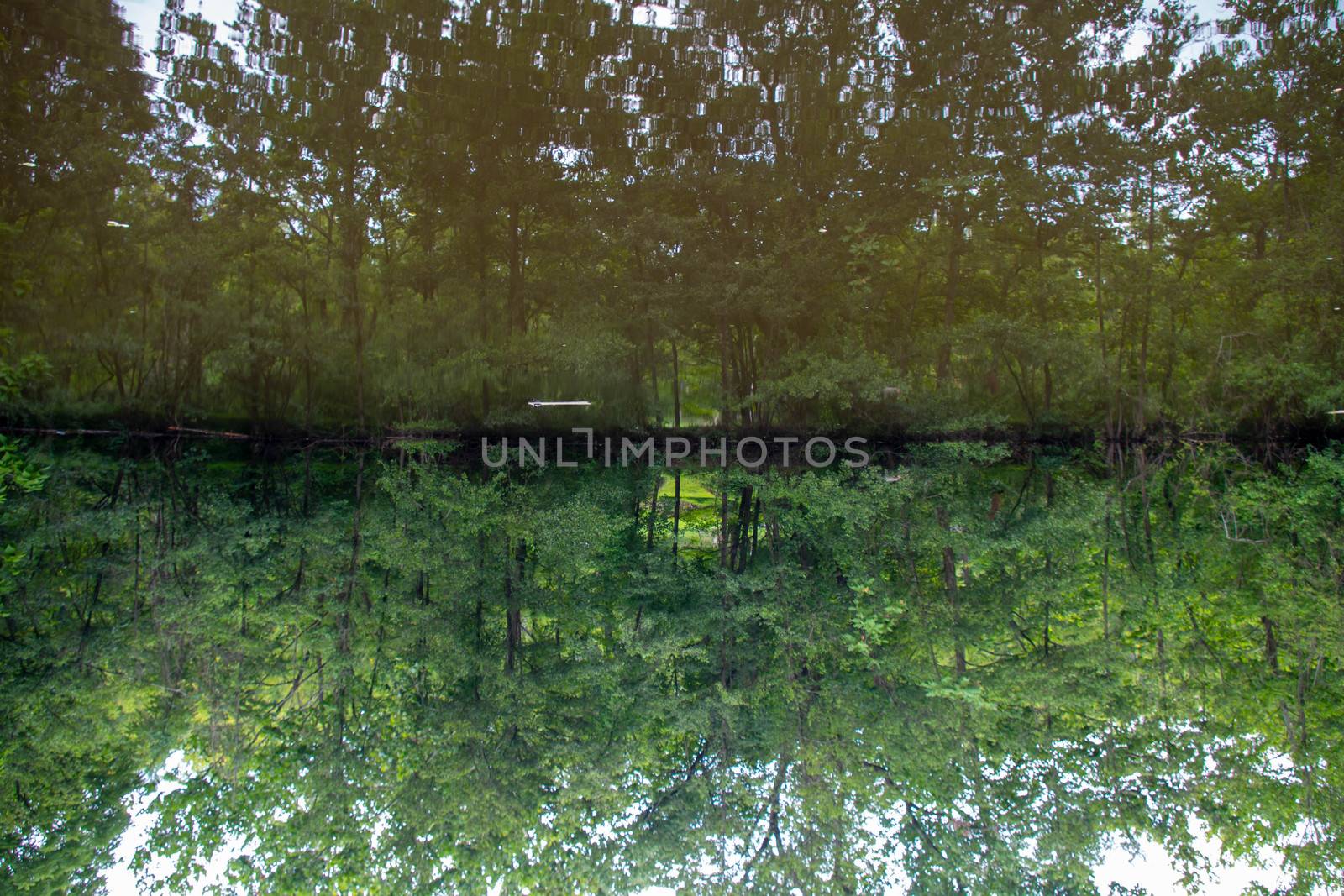 Surreal inverted forest pond reflection by marysalen