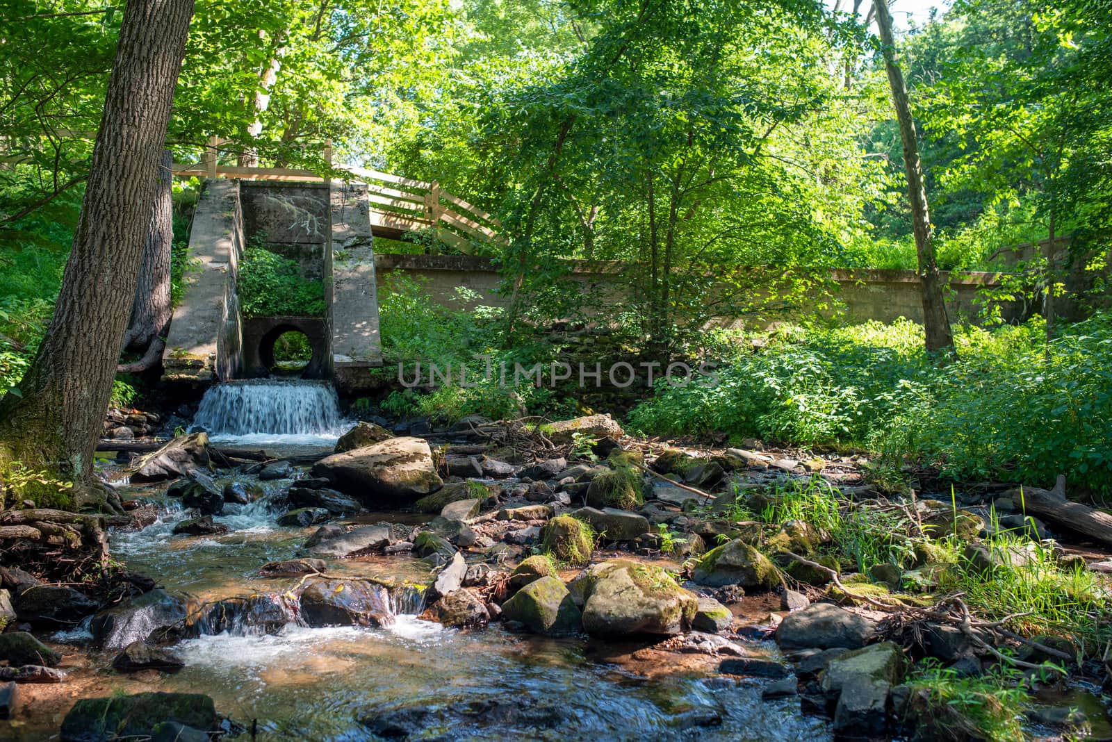 Full frame image of beautiful rural landscape with a woodland stream flowing over stones. Calming, relaxing nature view.