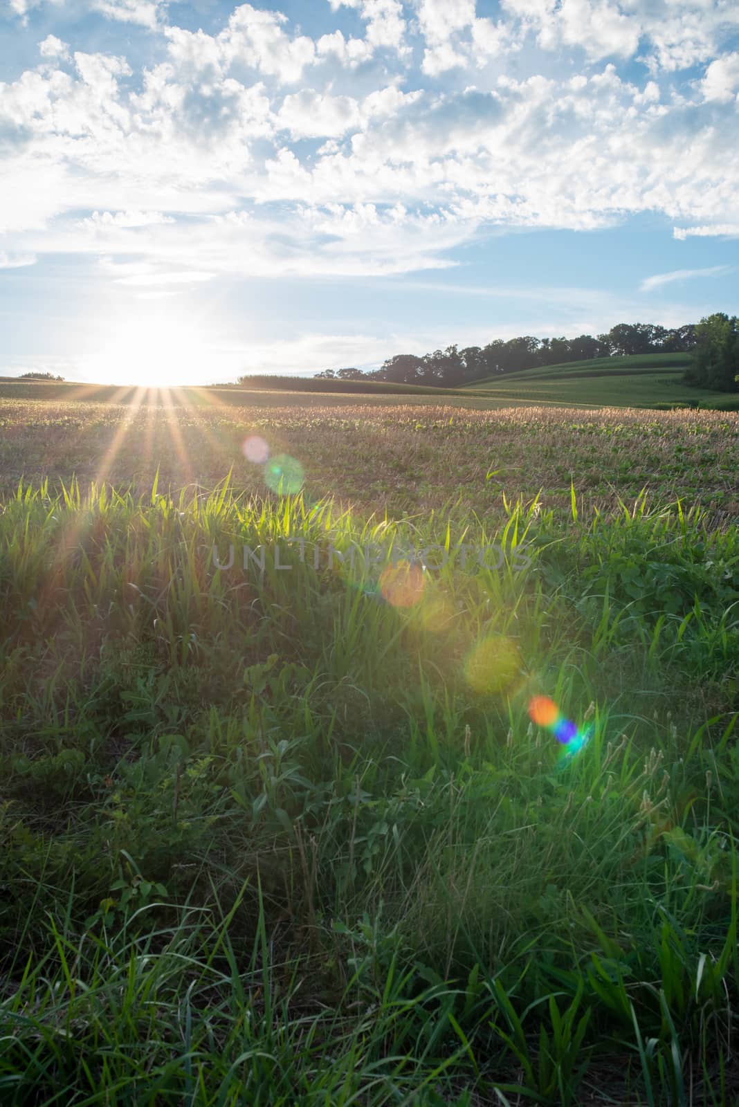 Sunbeam reaches across tranquil farm landscape by marysalen