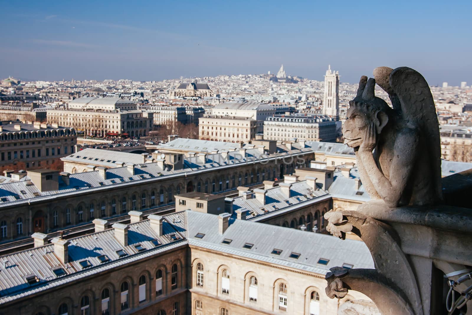 Notre Dame gargoyle detail overlooking the Paris skyline in France