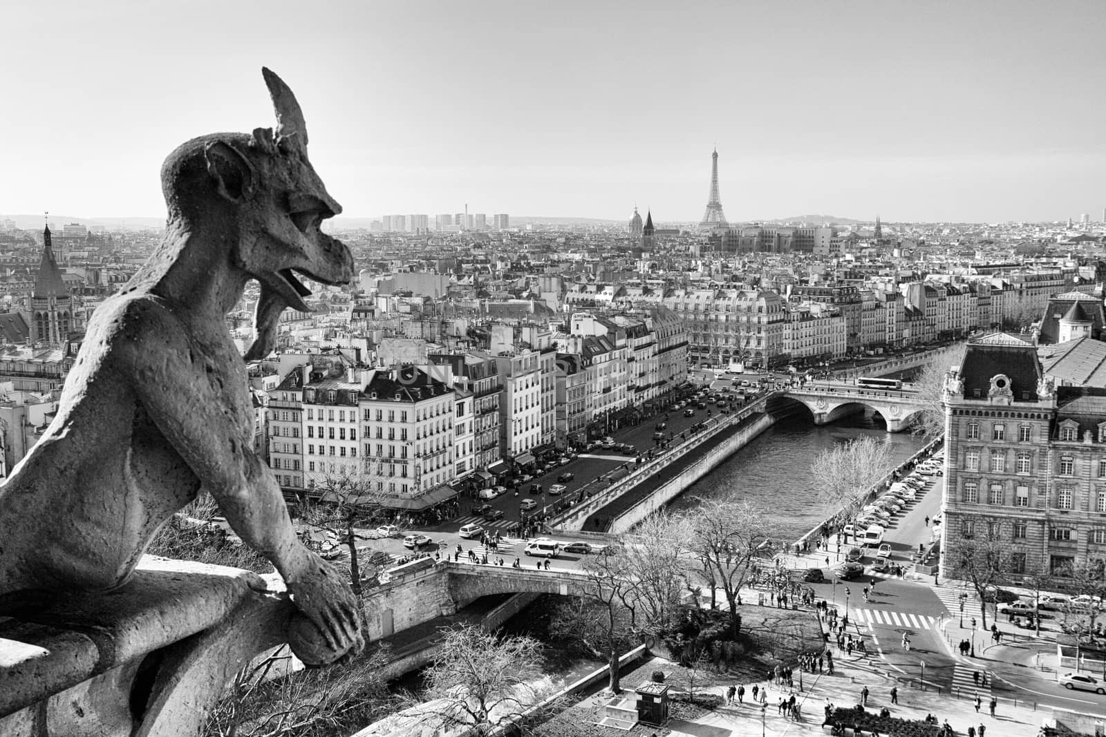 Notre Dame gargoyle detail overlooking the Paris skyline in France
