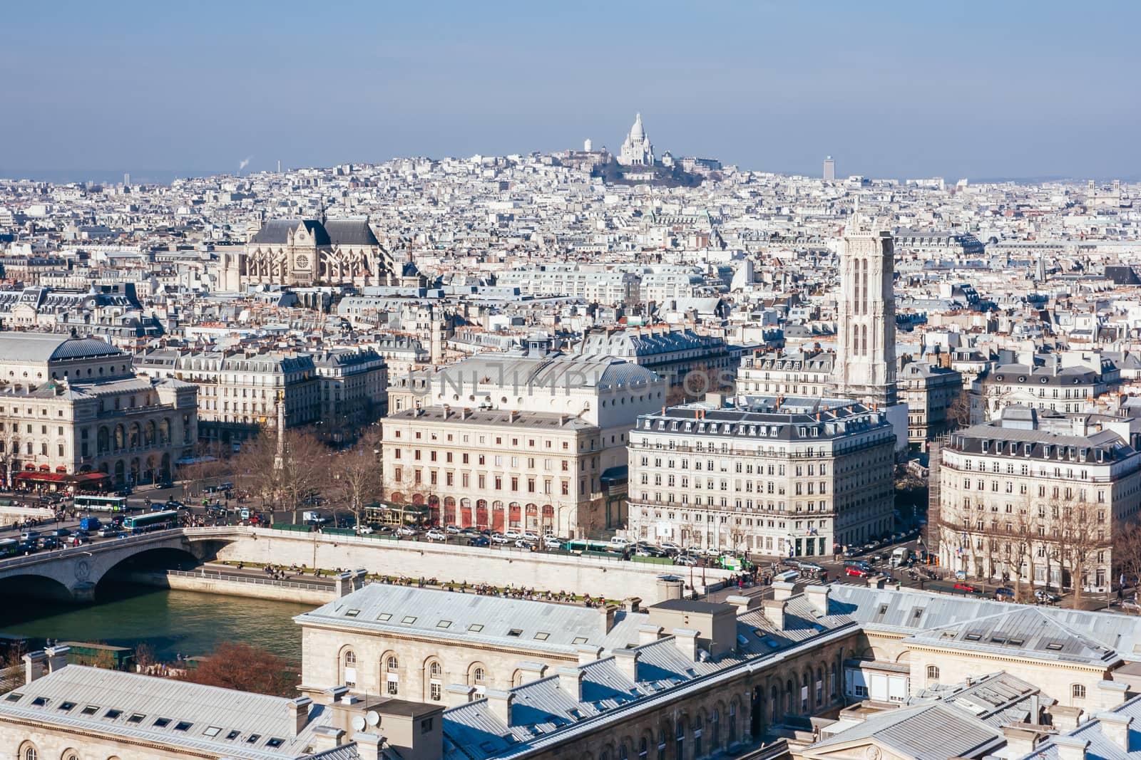 View from Notre Dame cathedral overlooking the Paris skyline towards Sacr�-Coeur in France