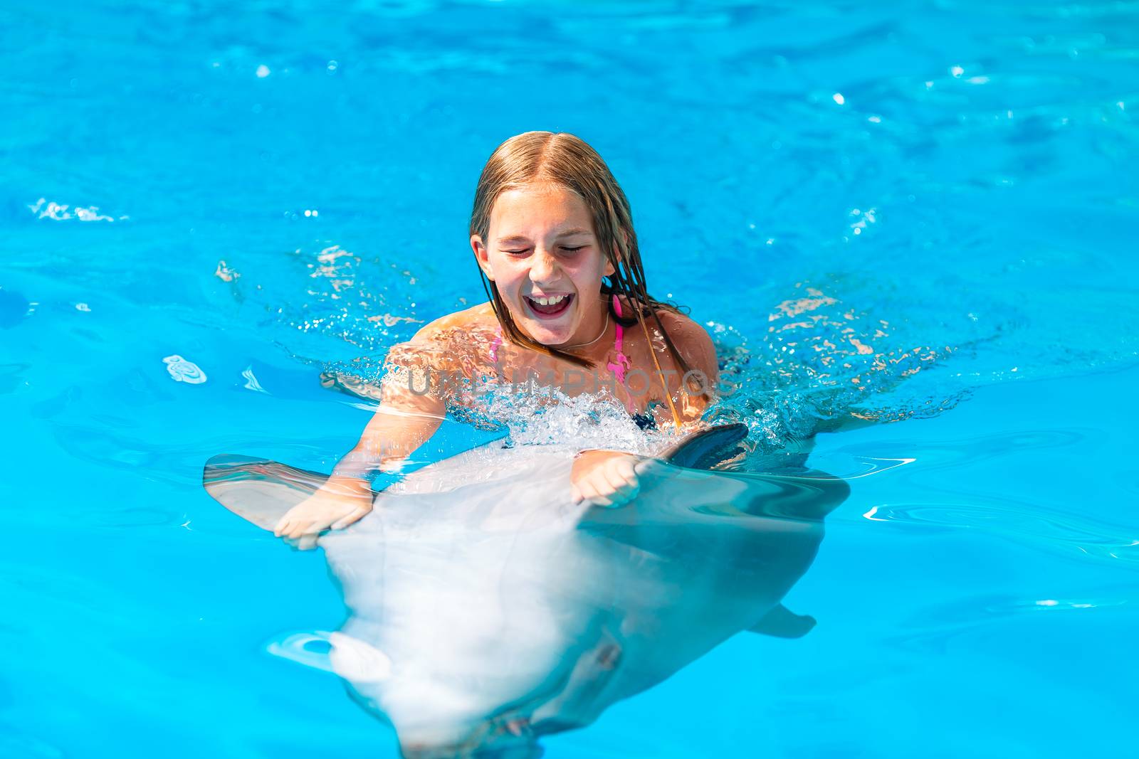 Happy little girl swimming with dolphins in Dolphinarium. Swimming, bathing and communication with dolphins.