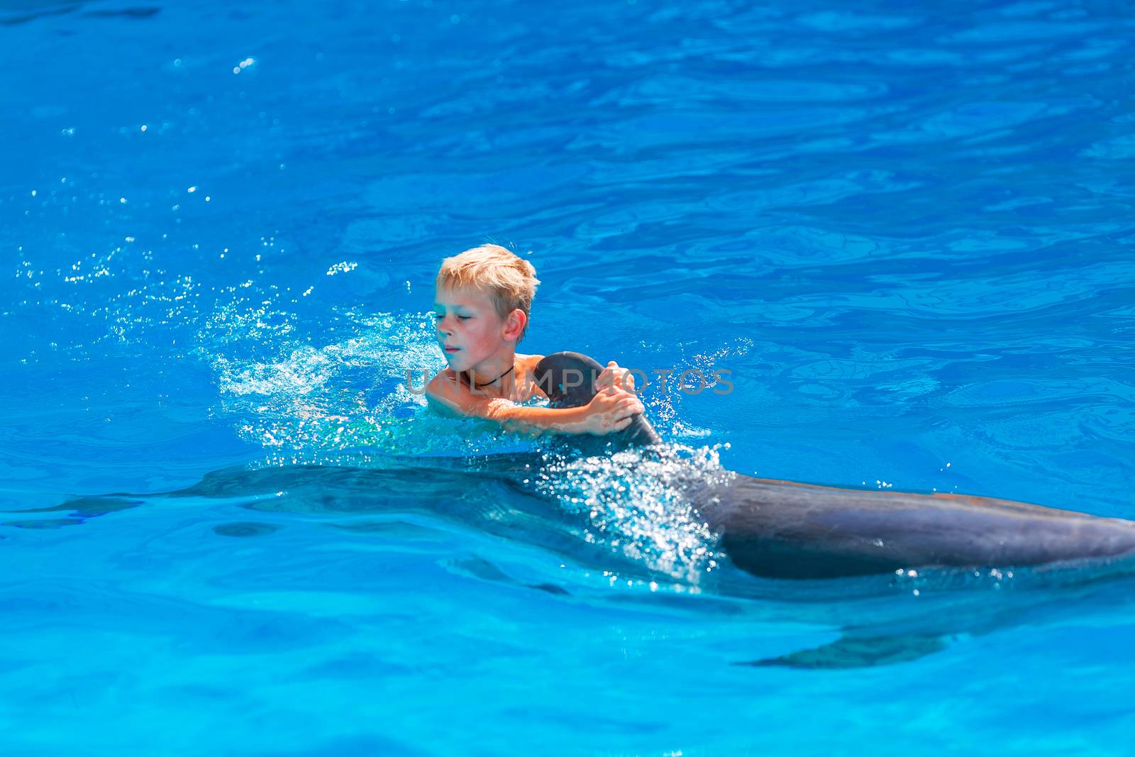 Happy little boy swimming with dolphins in Dolphinarium. Swimming, bathing and communication with dolphins.