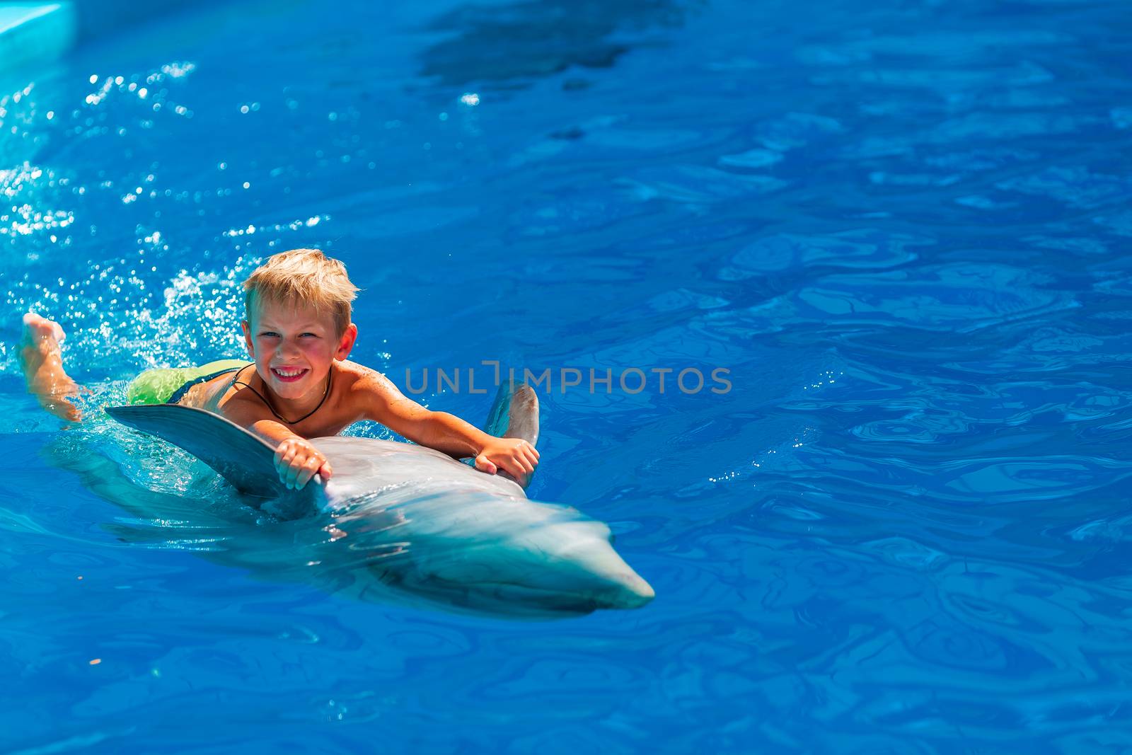 Happy little boy swimming with dolphins in Dolphinarium by Len44ik