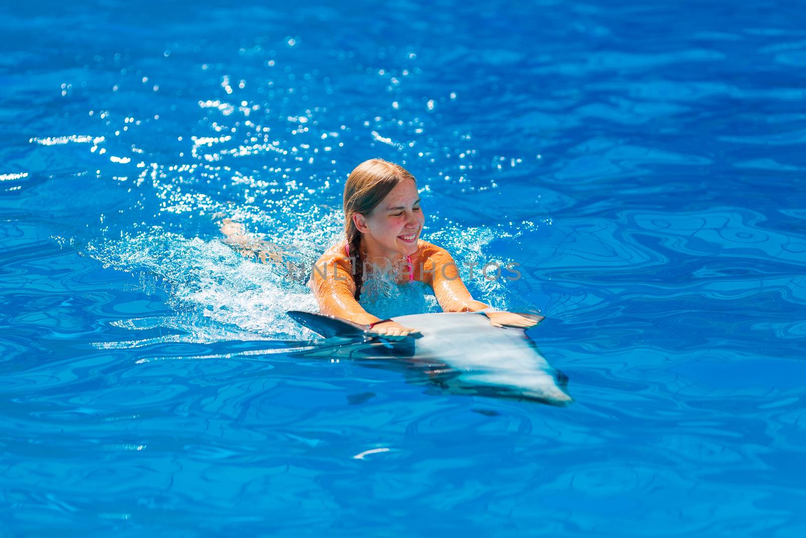 Happy little girl swimming with dolphins in Dolphinarium. Swimming, bathing and communication with dolphins.