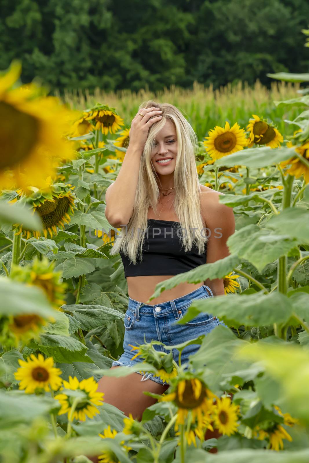 A gorgeous blonde model poses outdoors in a field of sunflowers while enjoying a summers day