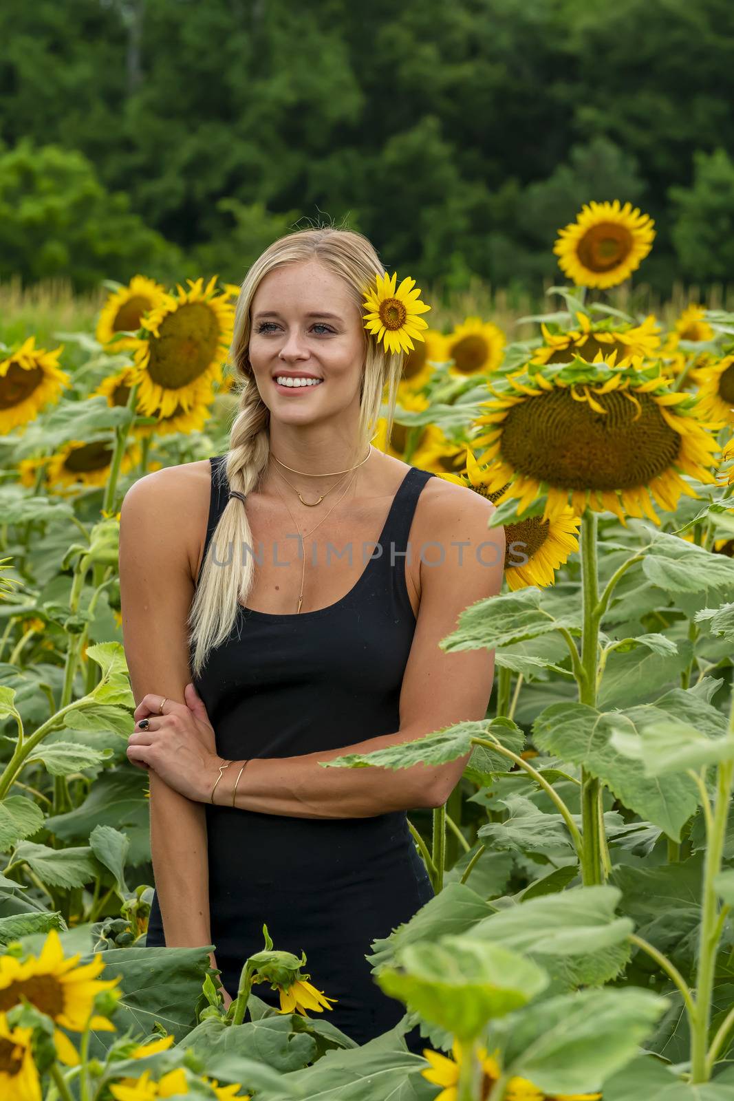 A gorgeous blonde model poses outdoors in a field of sunflowers while enjoying a summers day