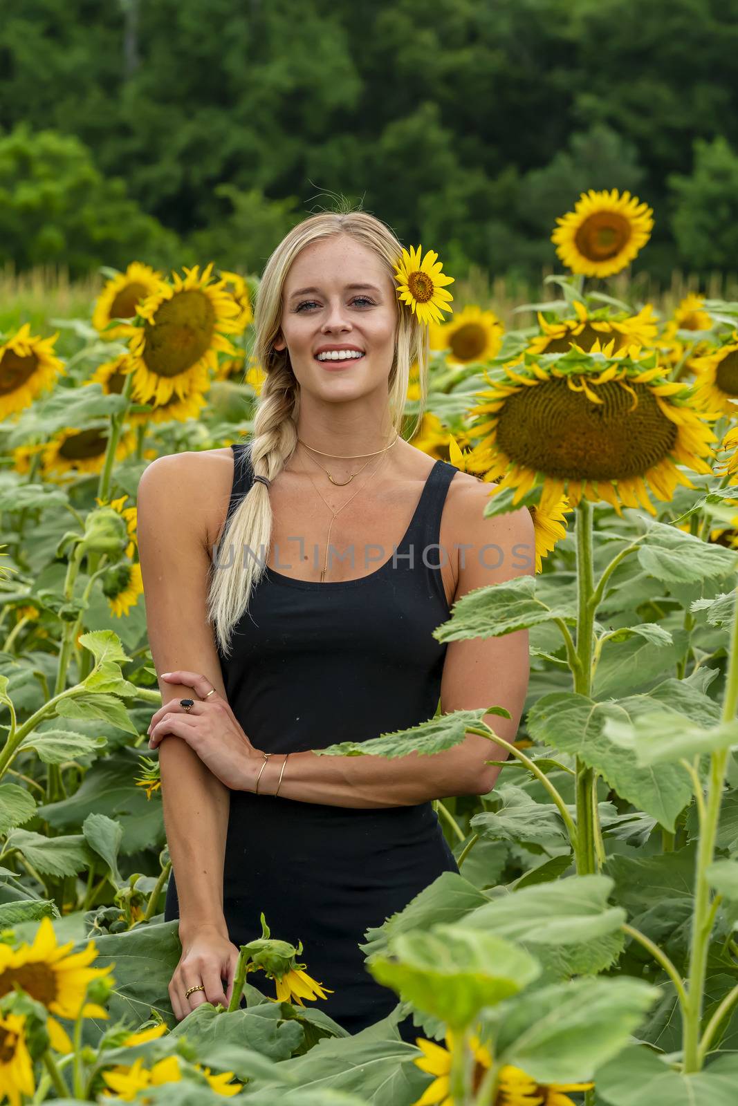 A gorgeous blonde model poses outdoors in a field of sunflowers while enjoying a summers day
