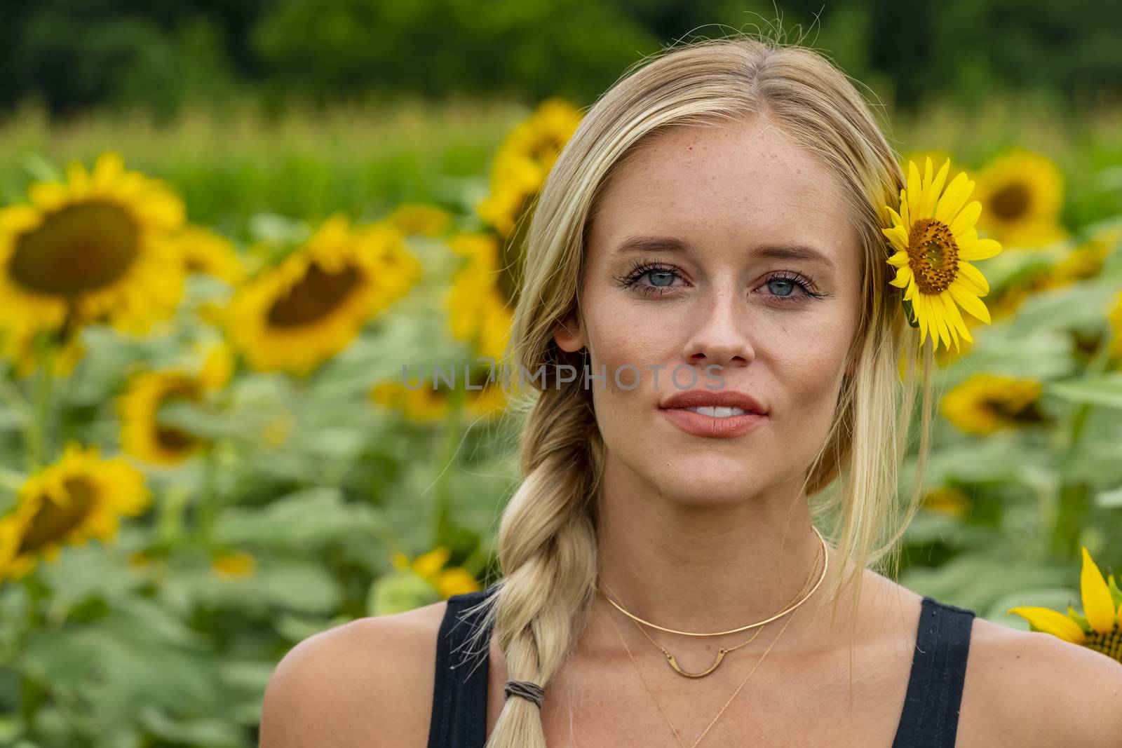 A gorgeous blonde model poses outdoors in a field of sunflowers while enjoying a summers day