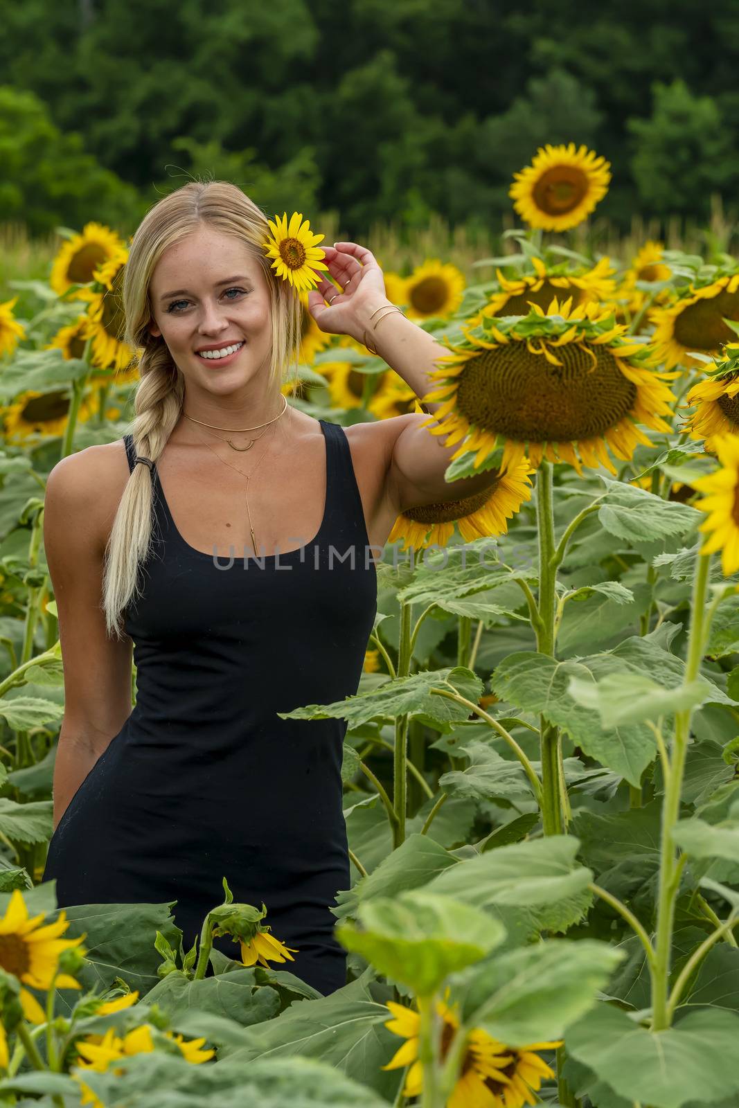 A gorgeous blonde model poses outdoors in a field of sunflowers while enjoying a summers day