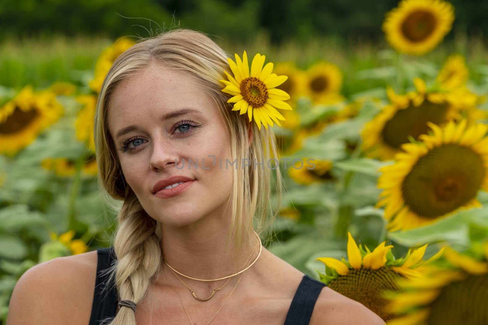 A gorgeous blonde model poses outdoors in a field of sunflowers while enjoying a summers day