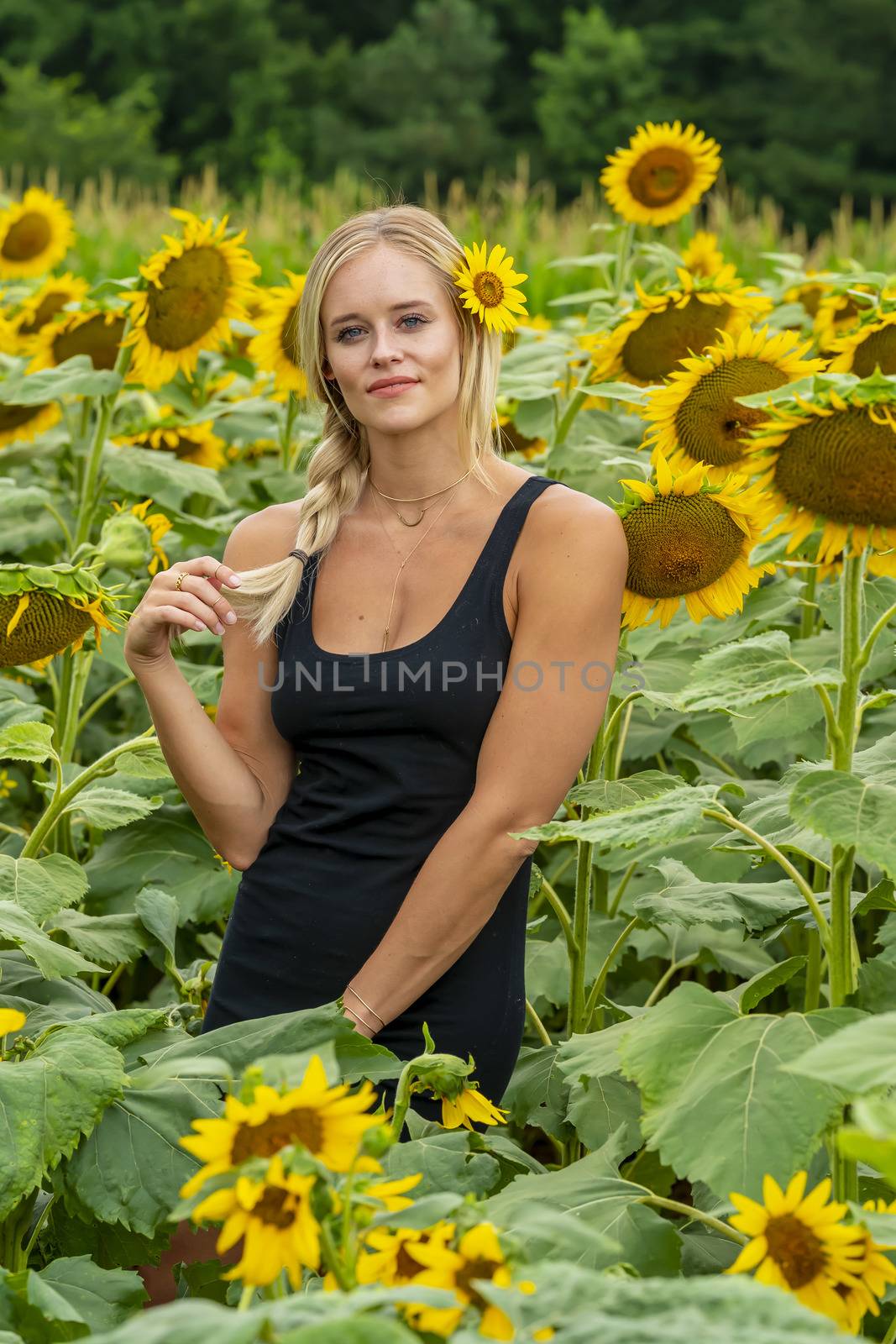 A gorgeous blonde model poses outdoors in a field of sunflowers while enjoying a summers day