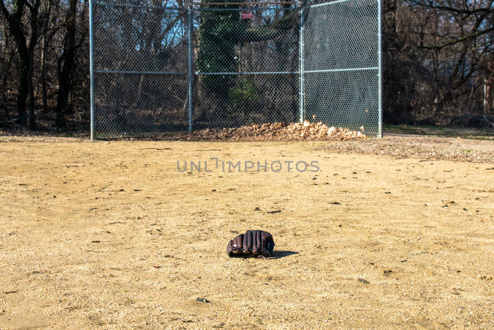 A Forgotten Baseball Glove on a Sand Baseball Field