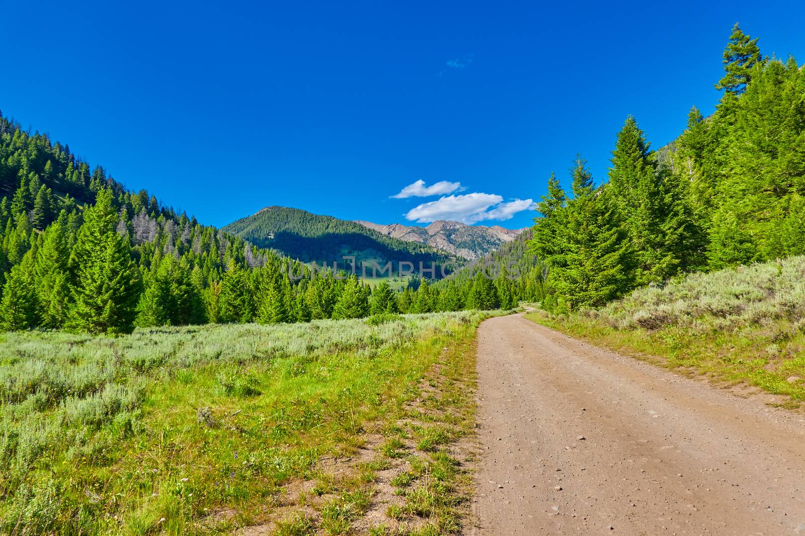 North Fork Road in the Sawthooth National Forest near Ketchum, I by patrickstock