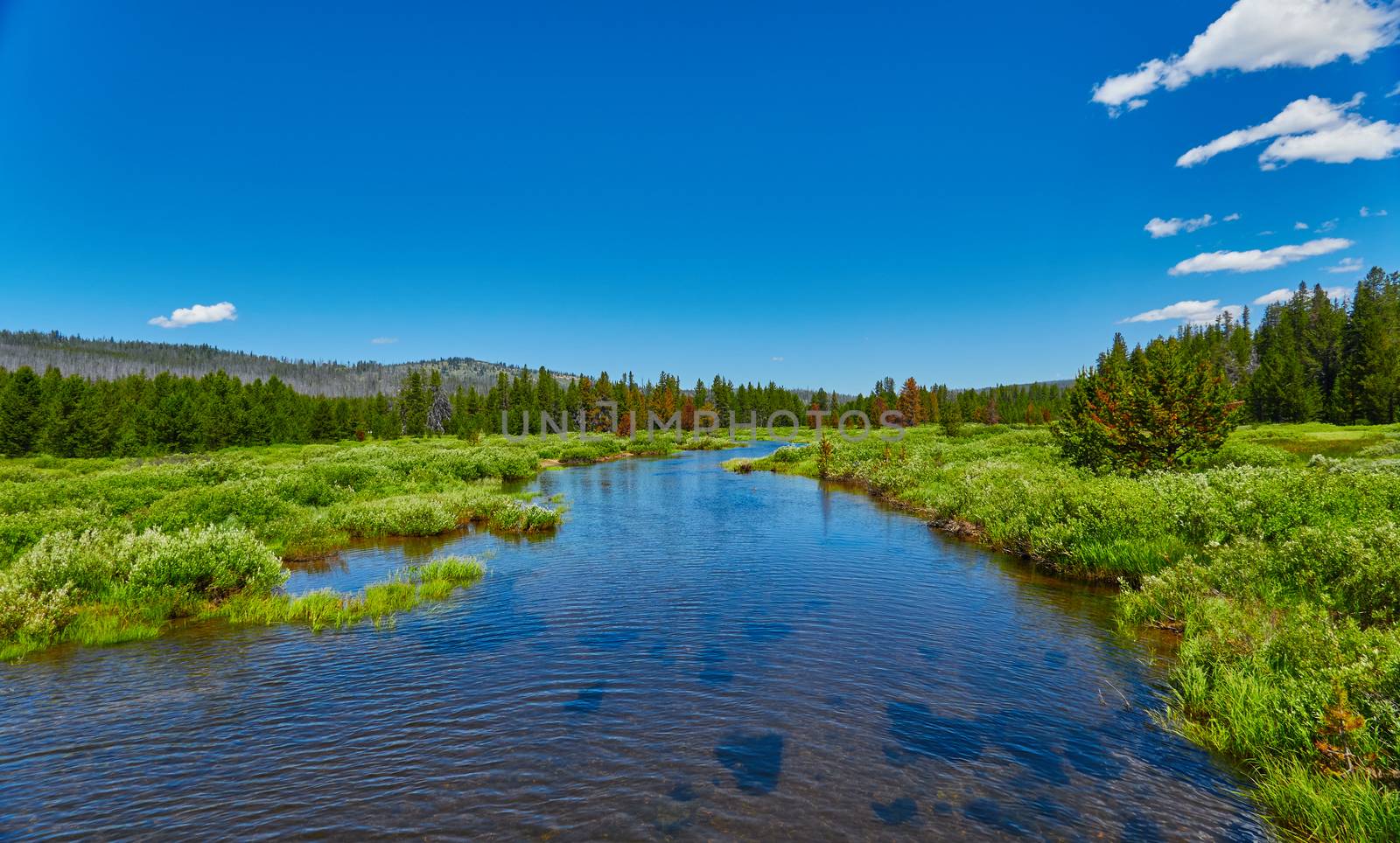 Johnson Creek flowing through a alpine meadow in the Sawtooth Na by patrickstock