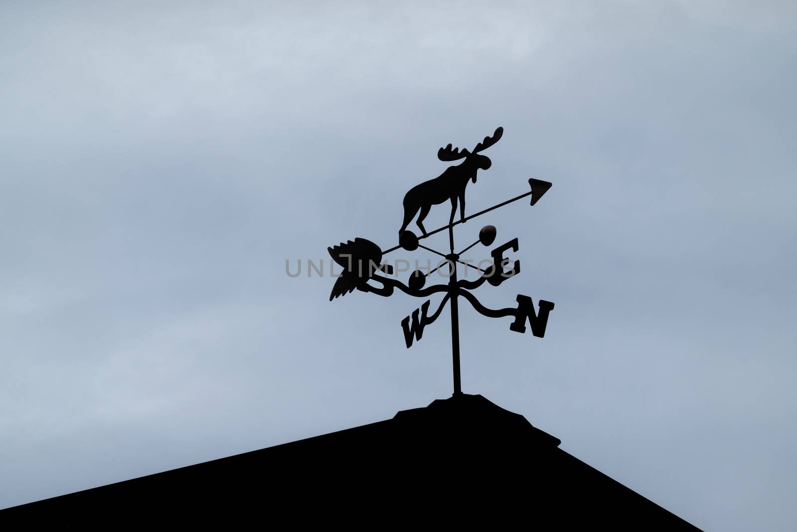 Silhouetted weather vane on top of a roof. by patrickstock