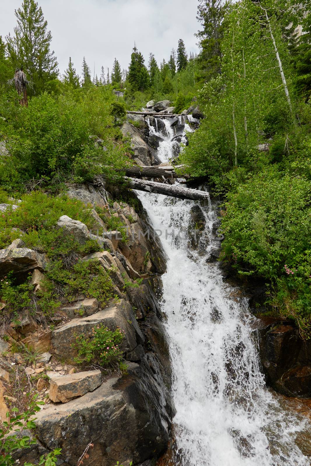 Small mountain waterfall along East Fork Road in the Sawtooth National Frest, Idaho.