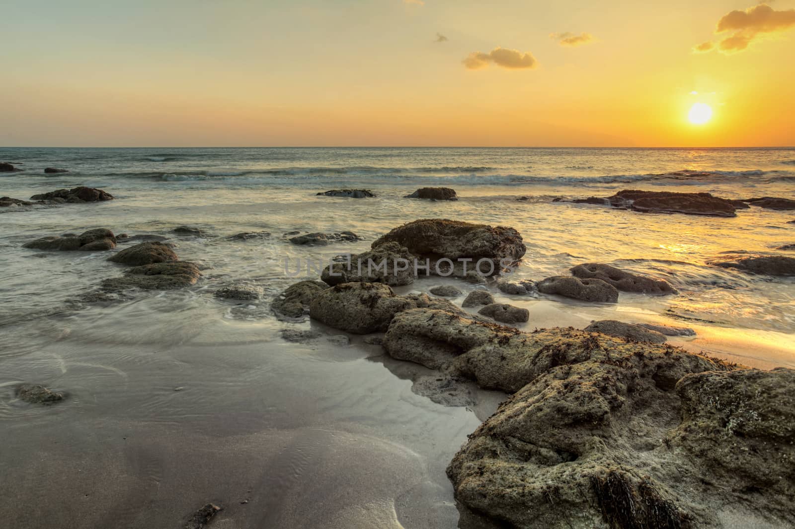 Beach in low tide, sand and rocks covered with algae showing fro by Ivanko