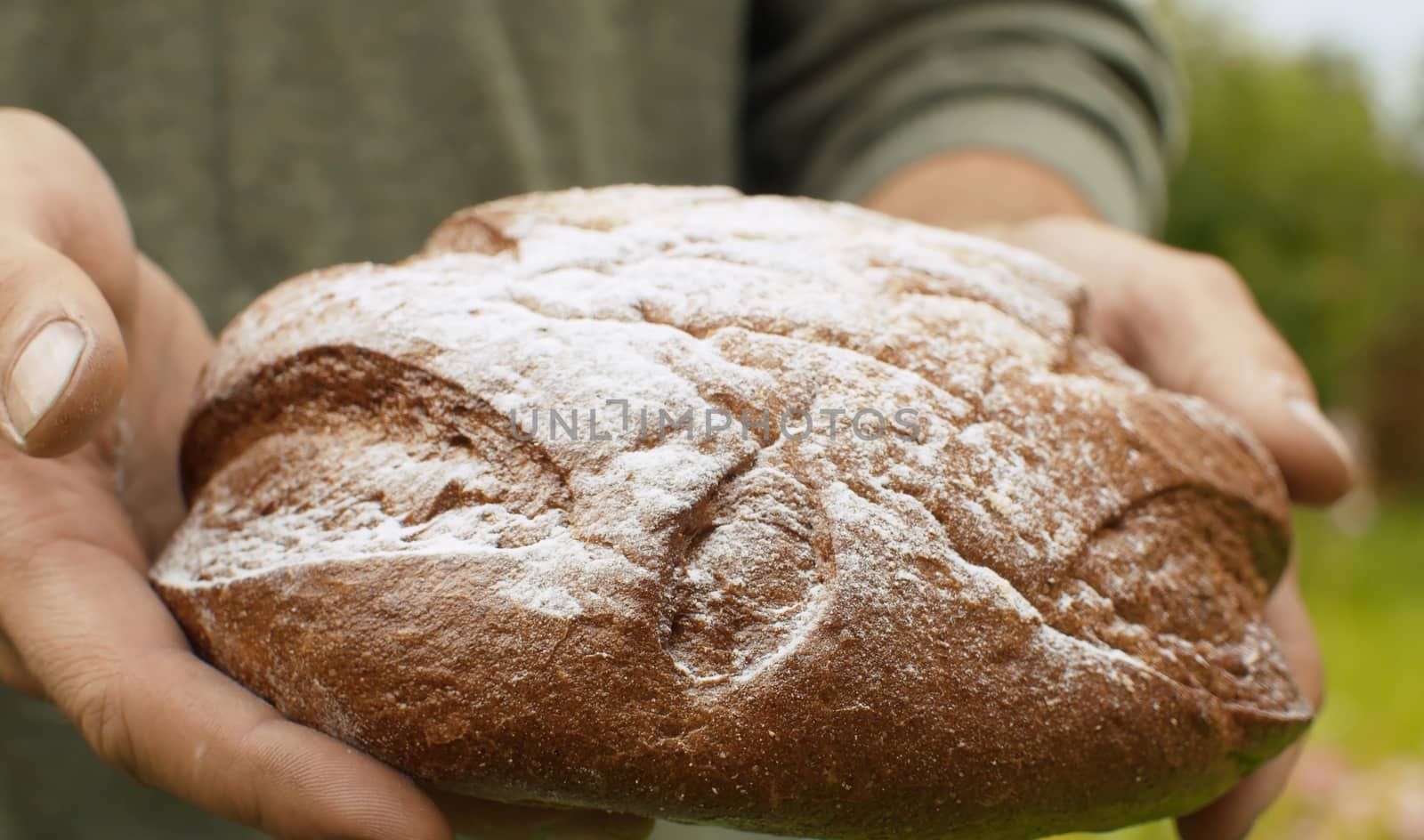 Close up homemade bread in farmers hands in the garden at summer. Natural organic handmade food
