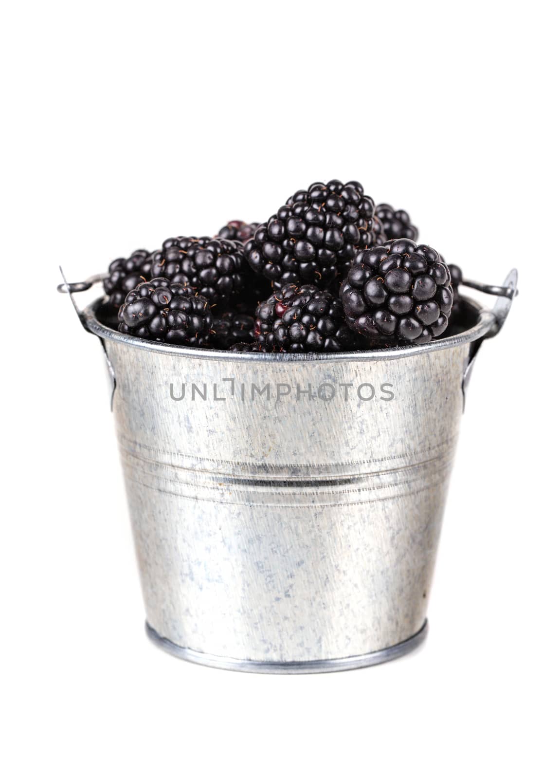 blackberries in bucket on a white background