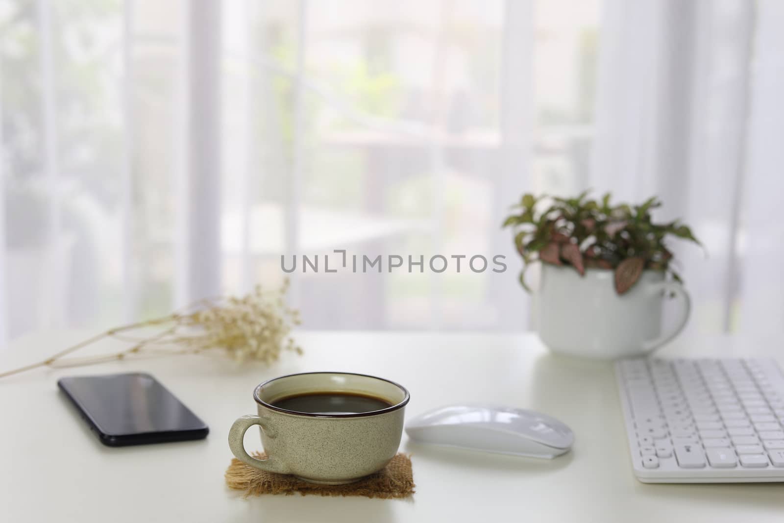 Interior house modern decor with smartphone coffee and white keaboard and mouse and plants pot with see through curtain