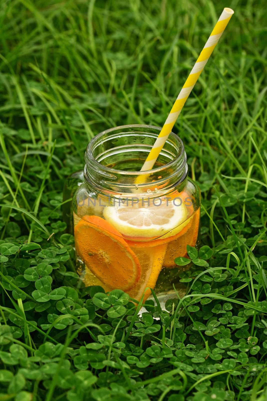 Fruits juice. Fruit lemonade on the grass