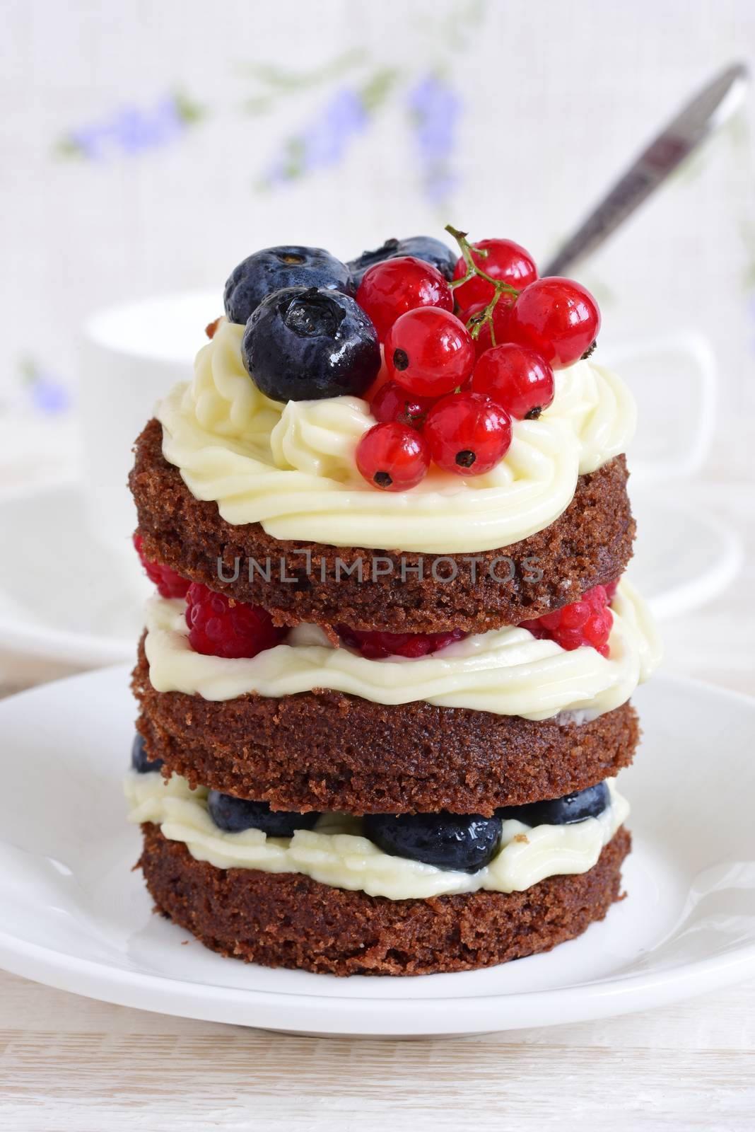 homemade cake with berries by Visual-Content