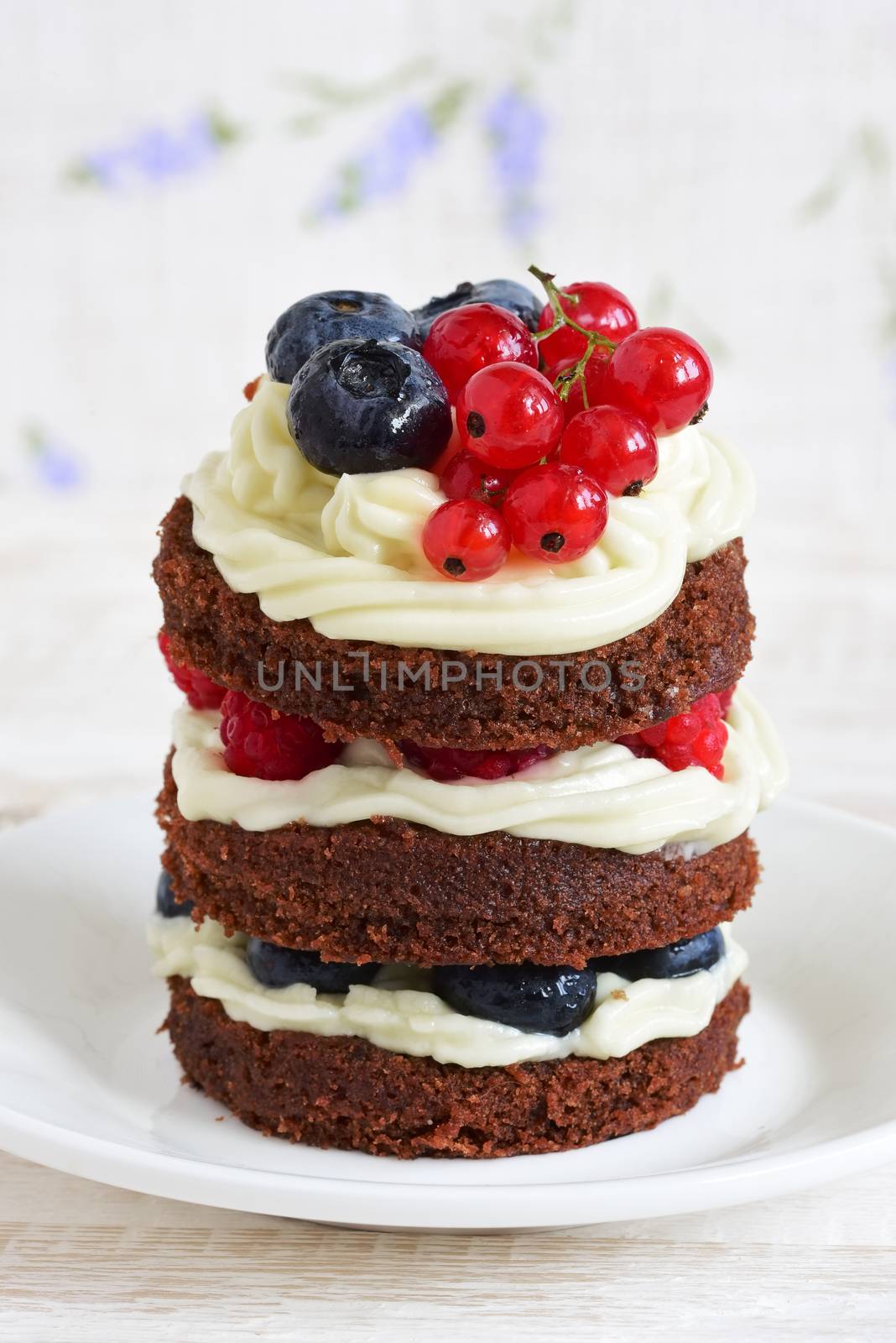 homemade cake with berries by Visual-Content