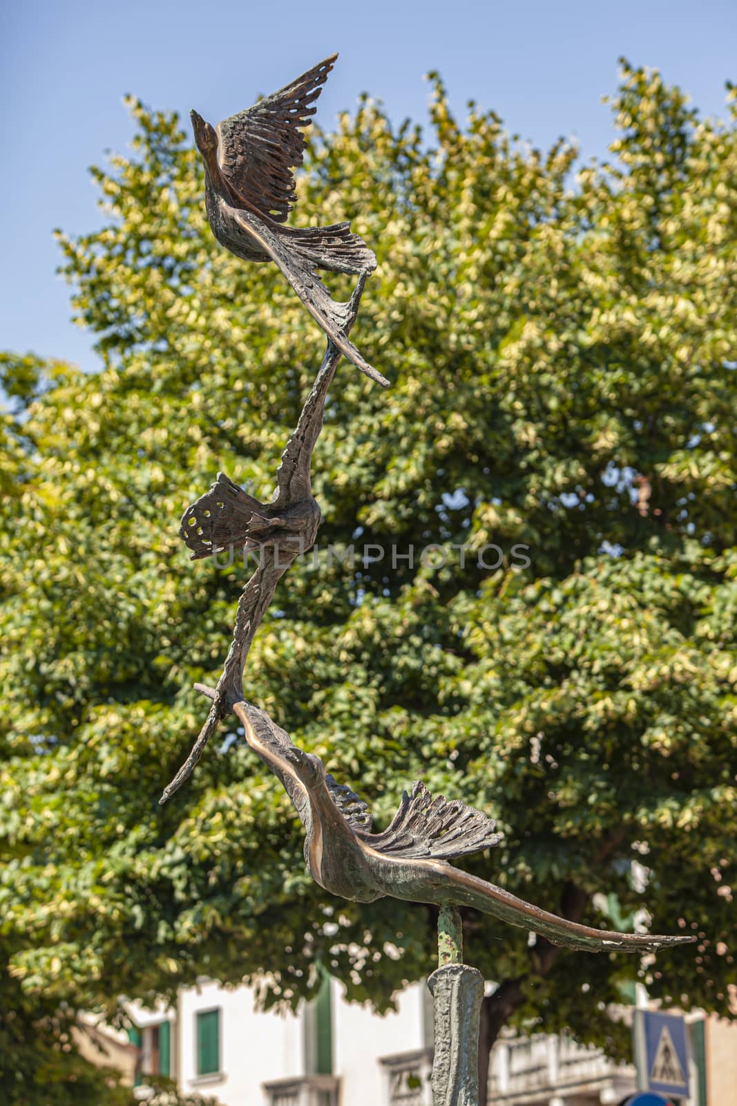 TREVISO, ITALY 13 AUGUST 2020: Bird statue in Treviso in Italy