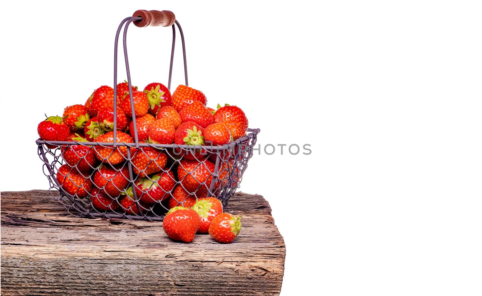 Strawberry with strawberry leaf in a metal basket on white background. by Fischeron