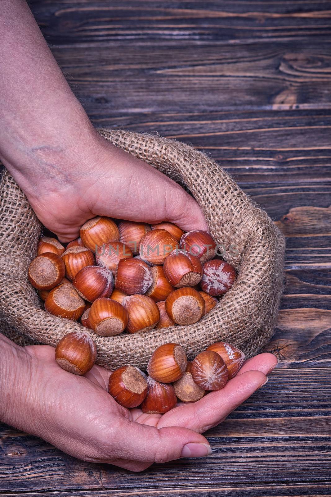 Close up woman hand holds hazelnut on a wooden background by Fischeron
