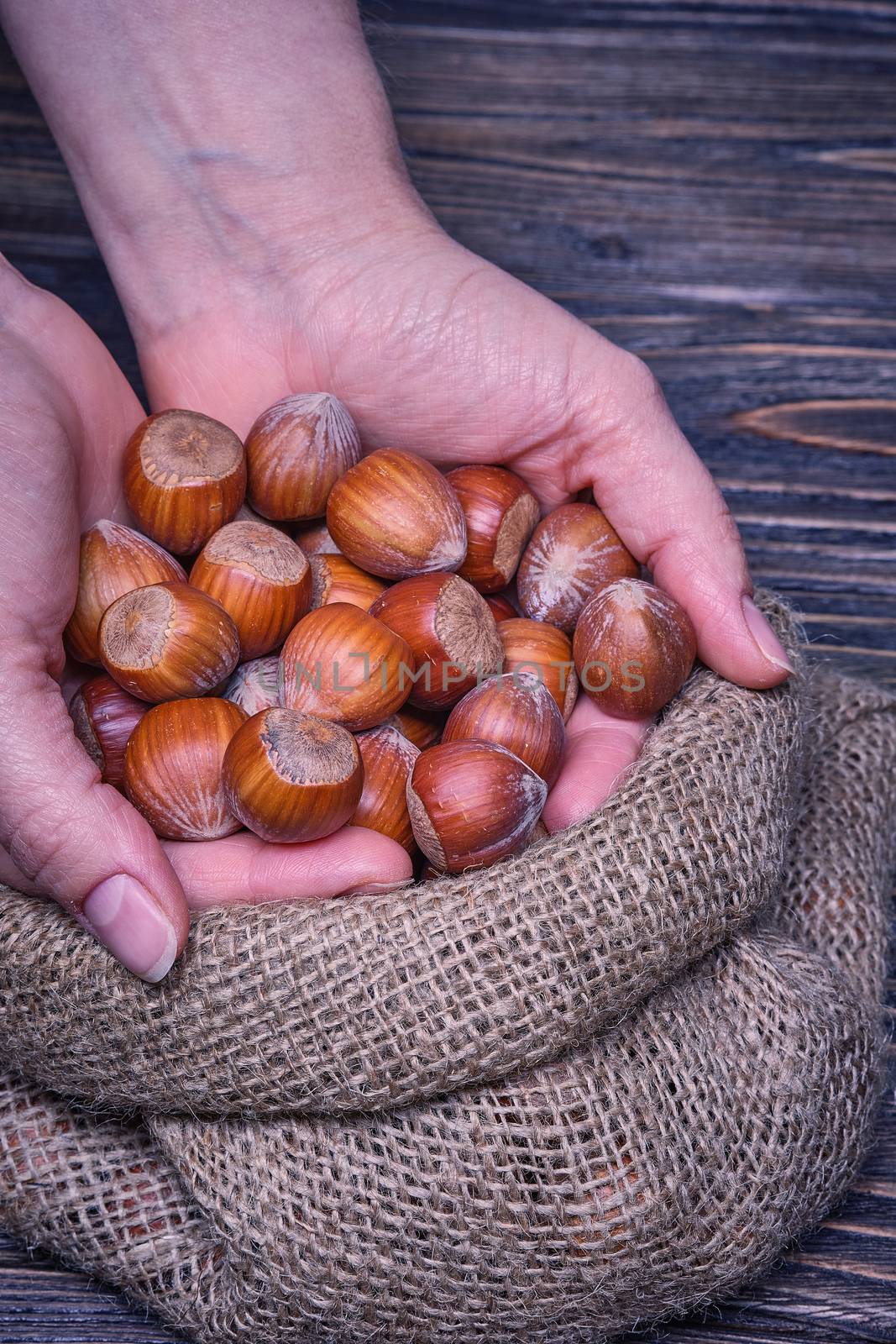 Close up woman hand holds hazelnut on a wooden background.