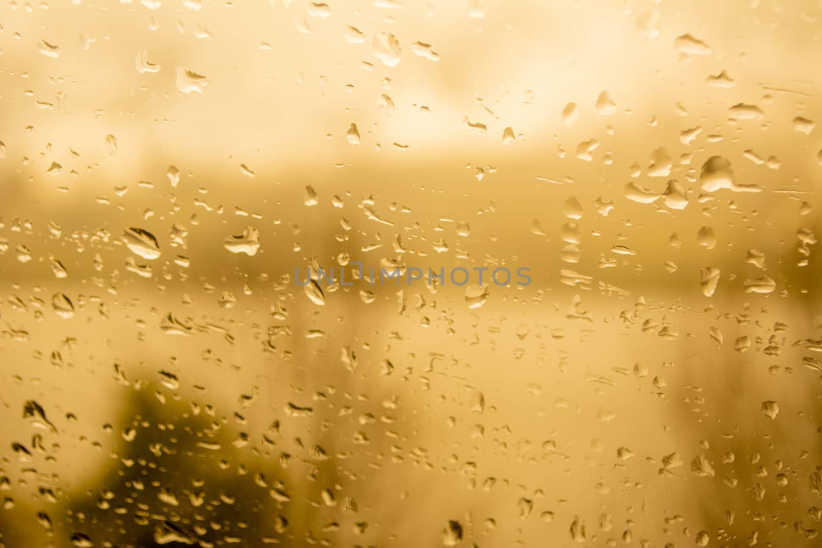 Raindrops on a window, illustrating gray and rainy weather during the day. Yellow Orange background by kb79
