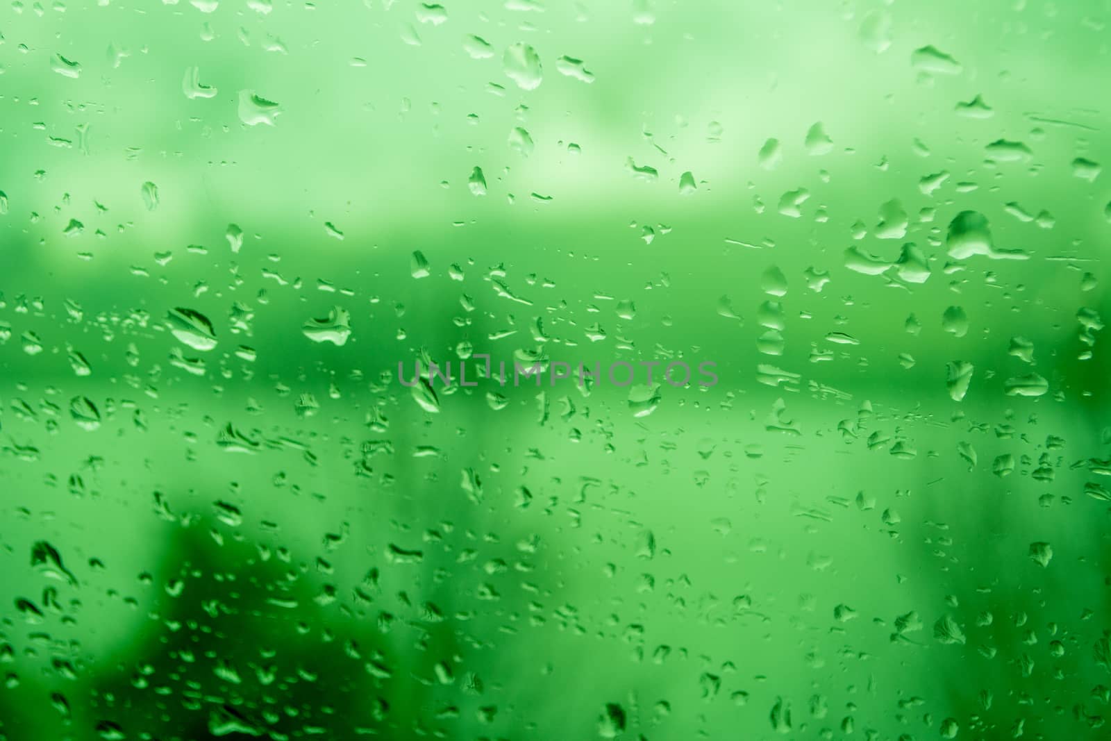 Raindrops on a window, illustrating gray and rainy weather during the day. Green background. by kb79