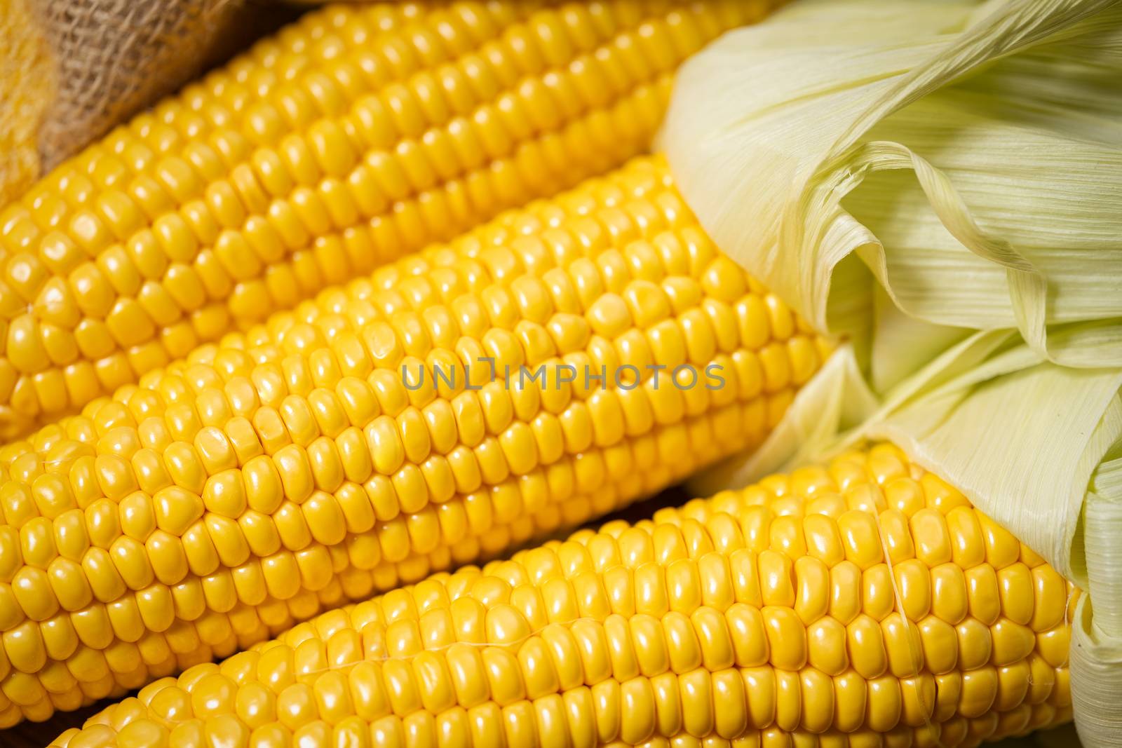 Ripe young sweet corn cob close upt by Robertobinetti70