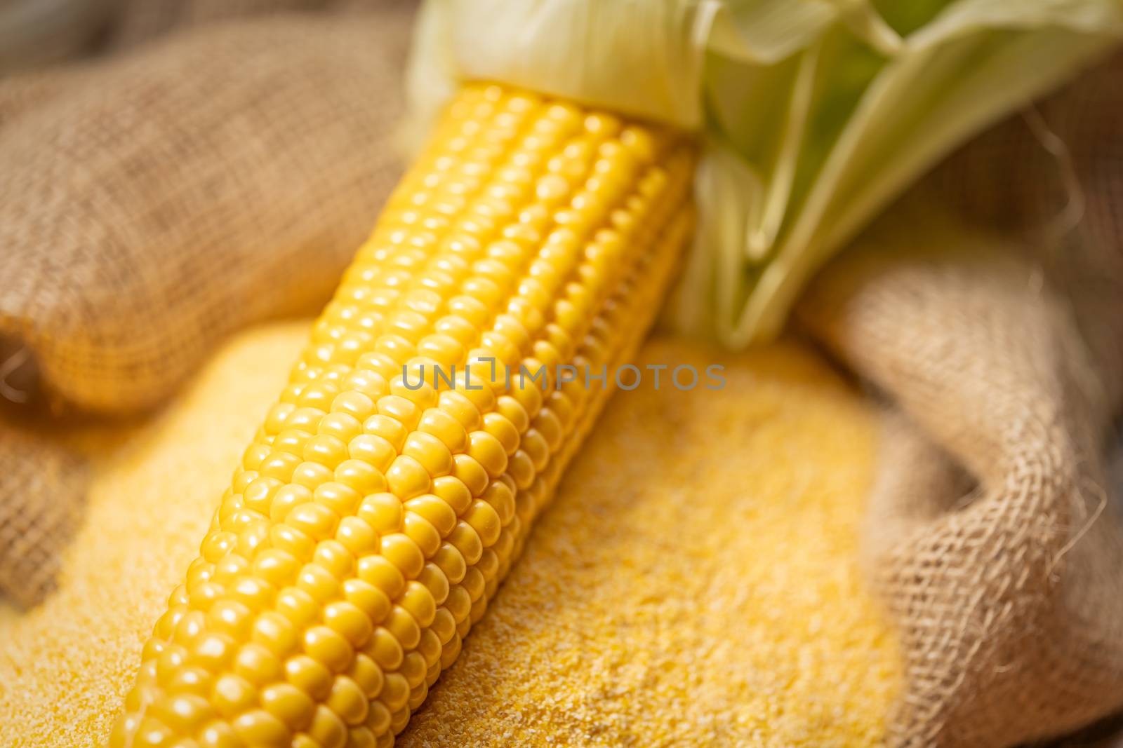 Ripe young sweet corn cob and cornmeal close up by Robertobinetti70