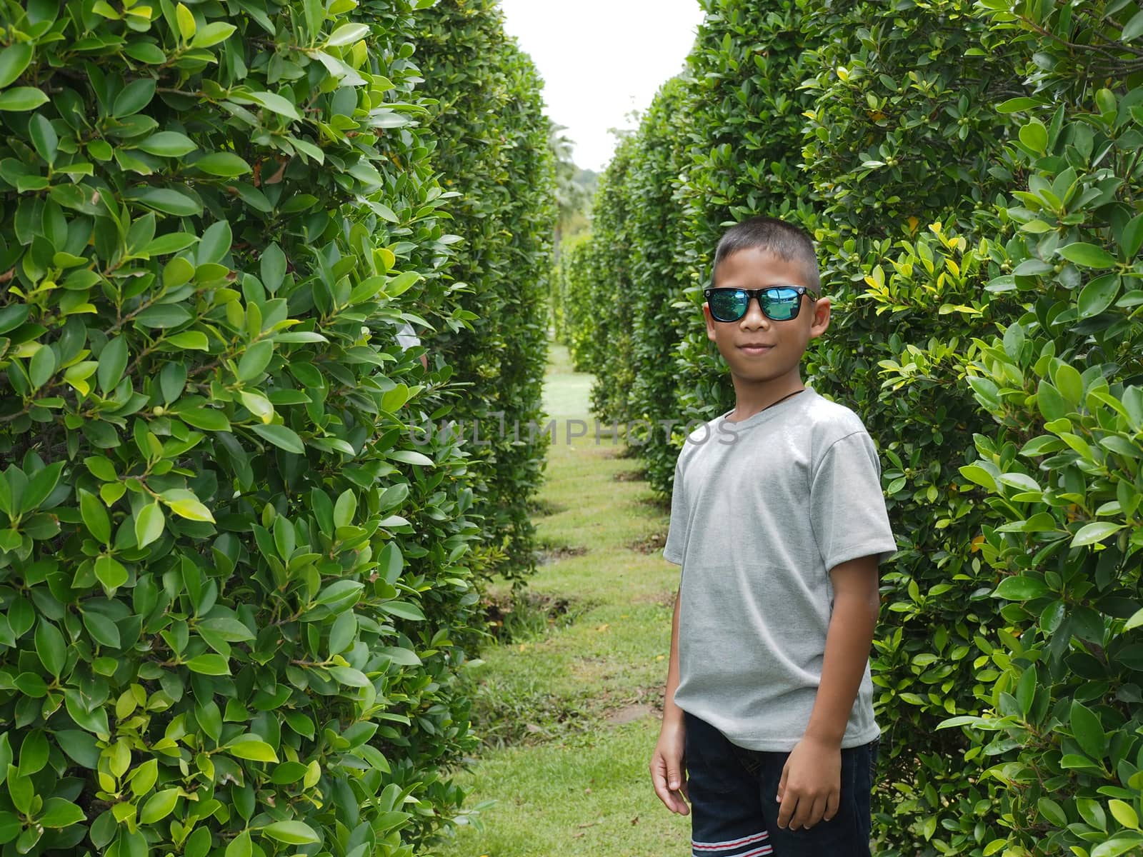 Portrait of a boy standing in a green bush