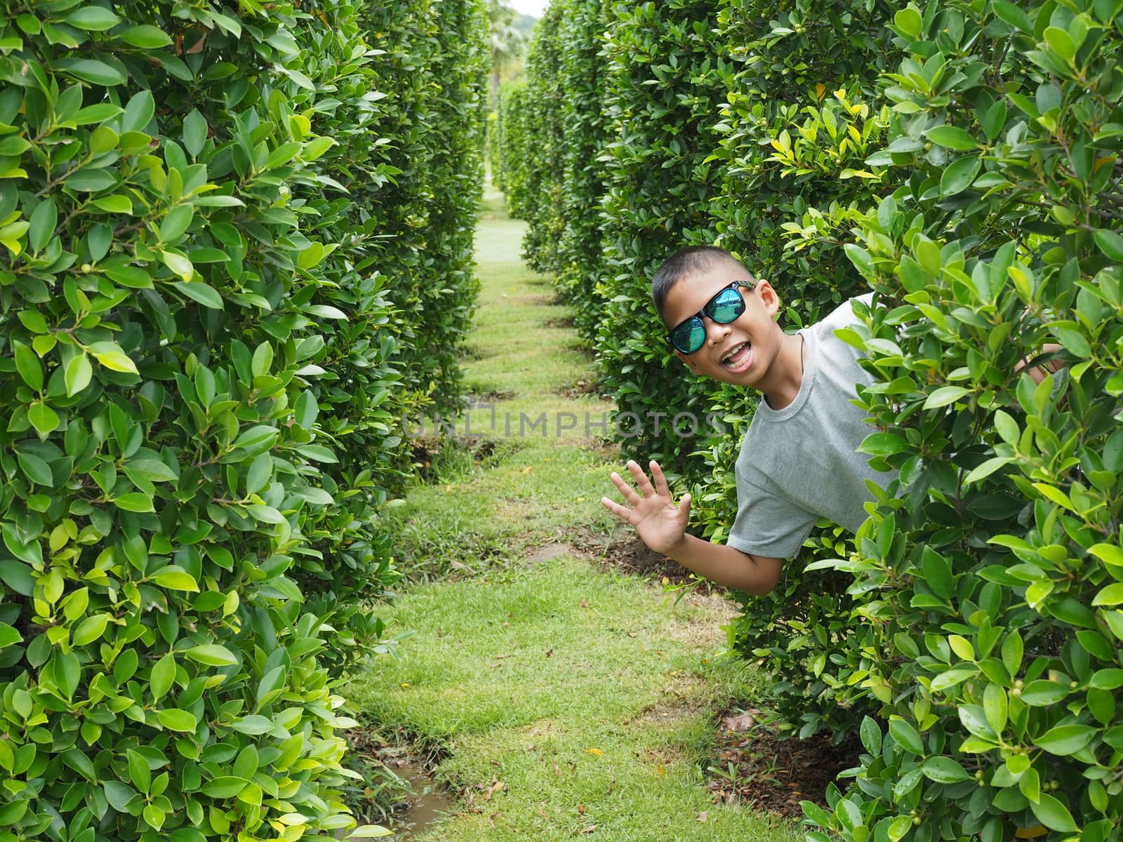 Portrait of a boy standing in a green bush 