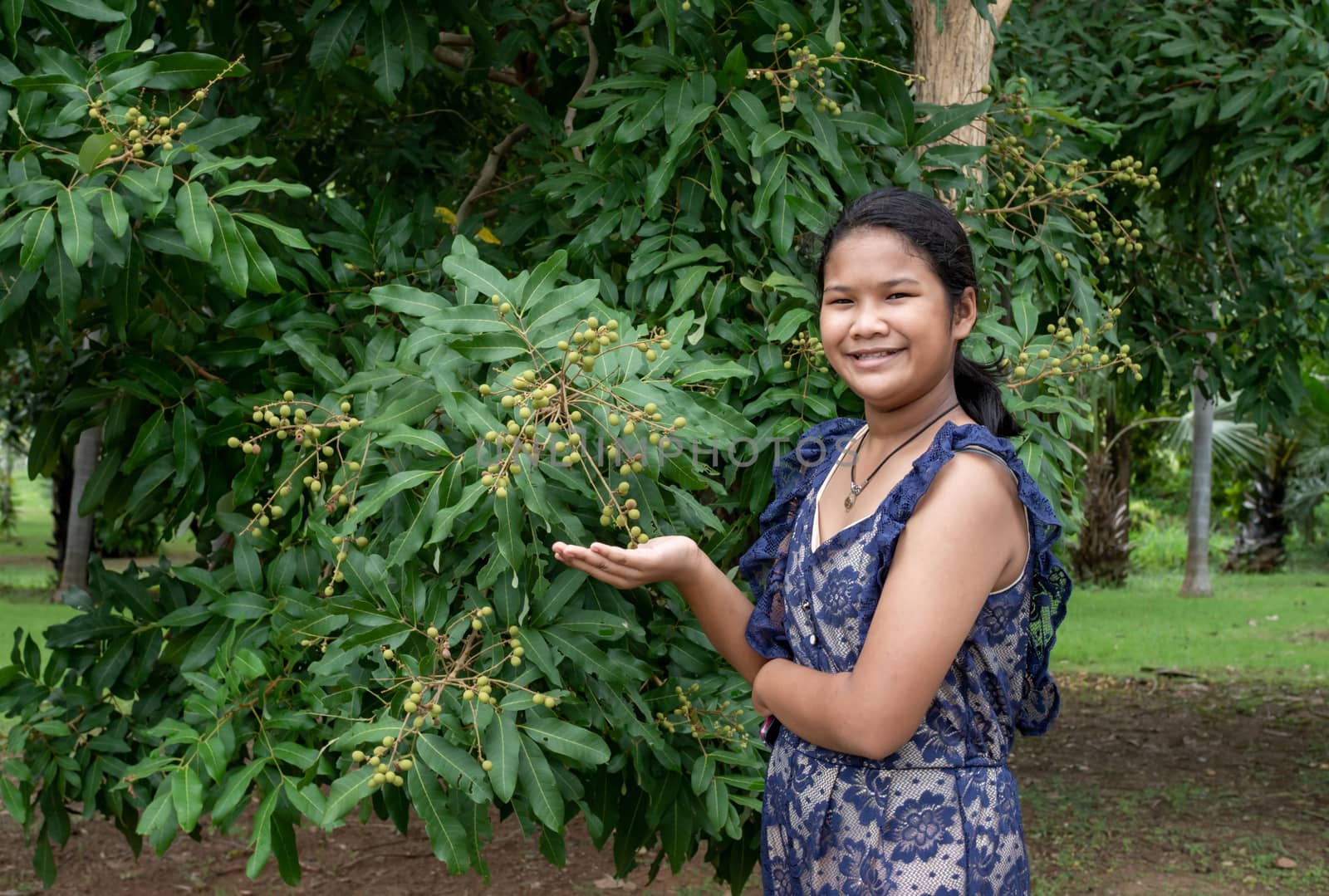 Woman and Longan in Thailand
