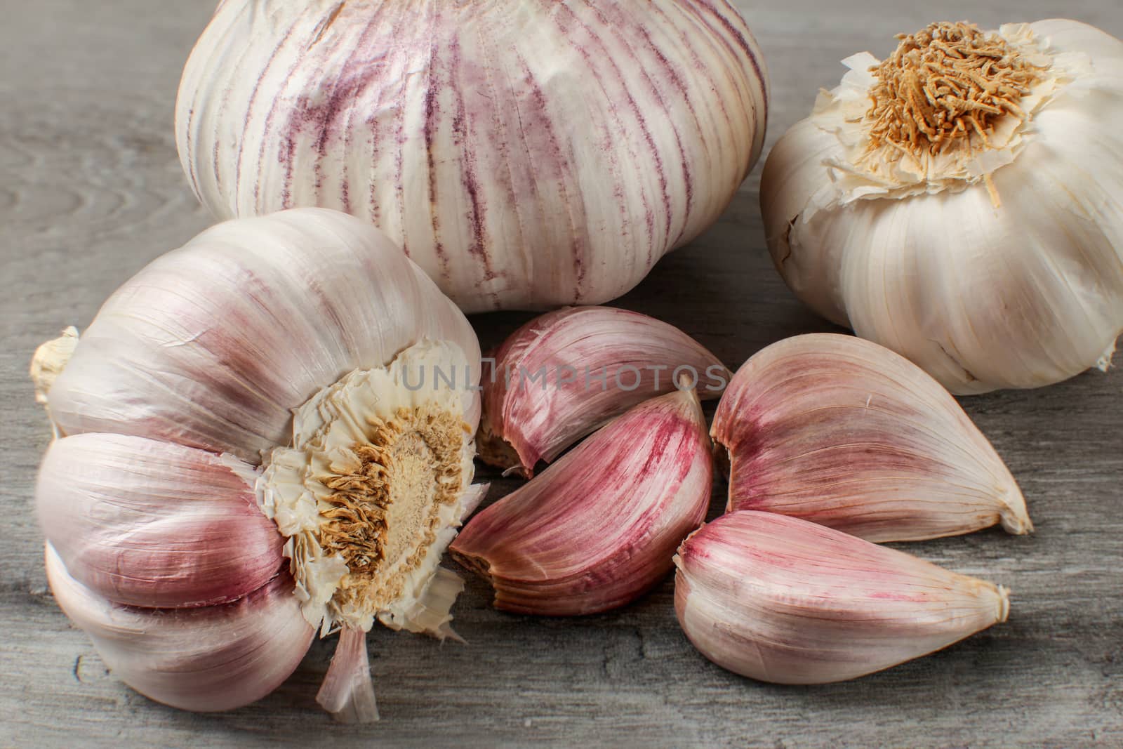 Detailed photo of garlic bulbs, and purple cloves on gray woode table.