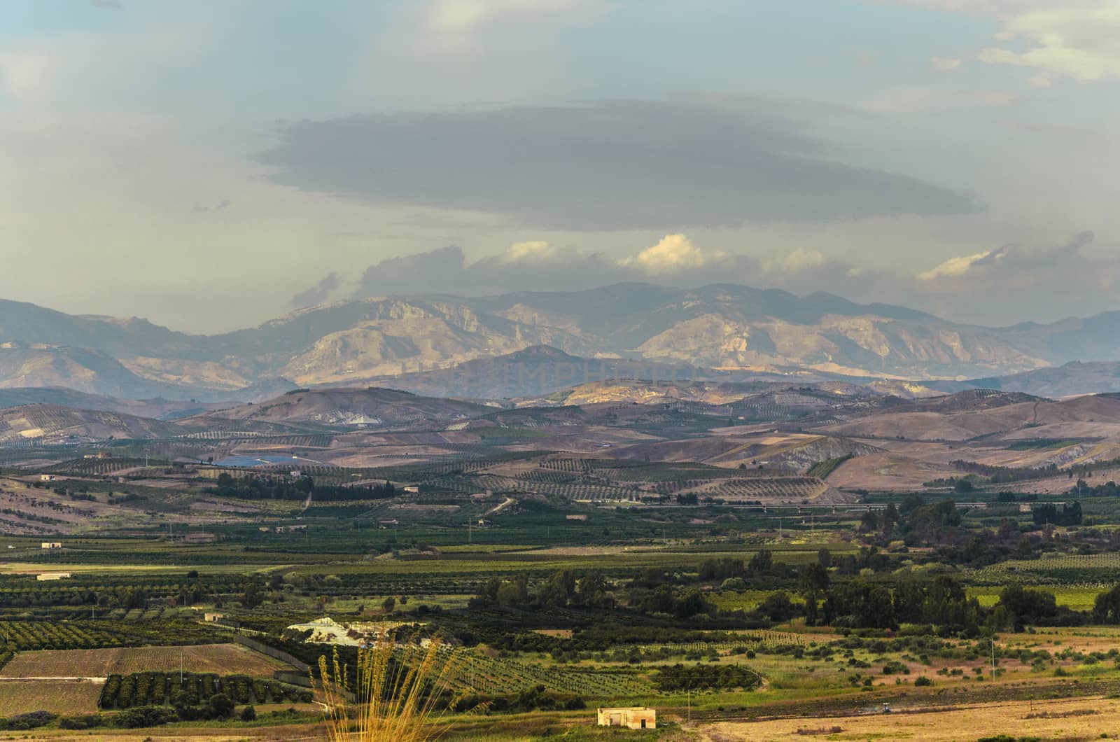 FIELDS PLANTED AND TO THE FUND MOUNTAINS IN SICILIAN TERRITORY