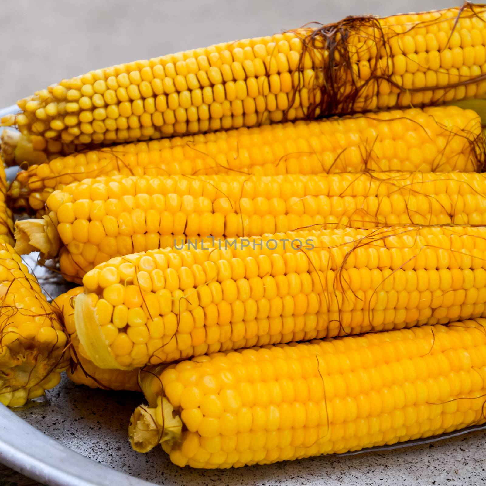 Boiled corn on an aluminum tray. Yellow boiled young corn, useful and tasty food by eleonimages