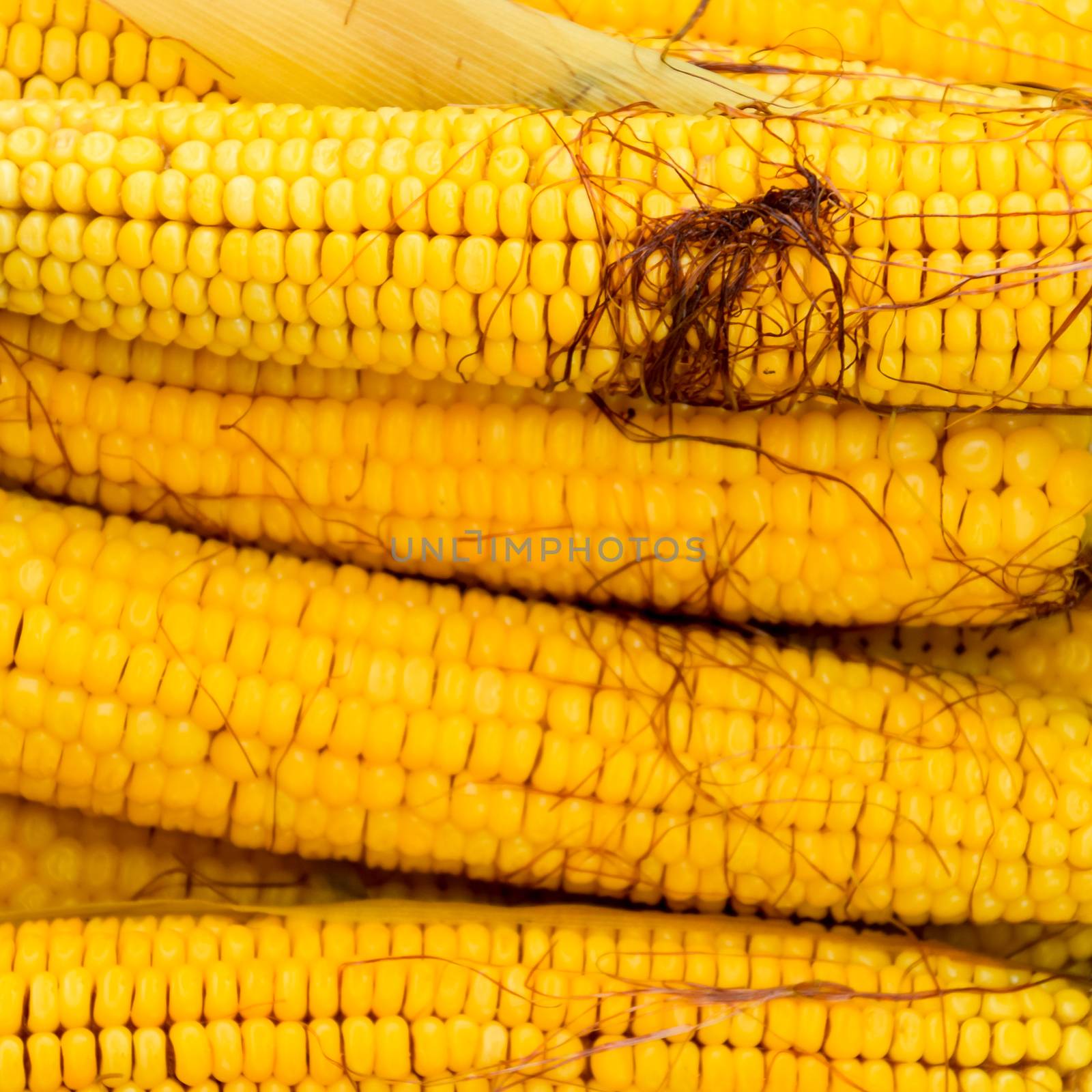 Boiled corn on an aluminum tray. Corn near. Closeup of corn. Yellow boiled young corn, useful and tasty food. by eleonimages