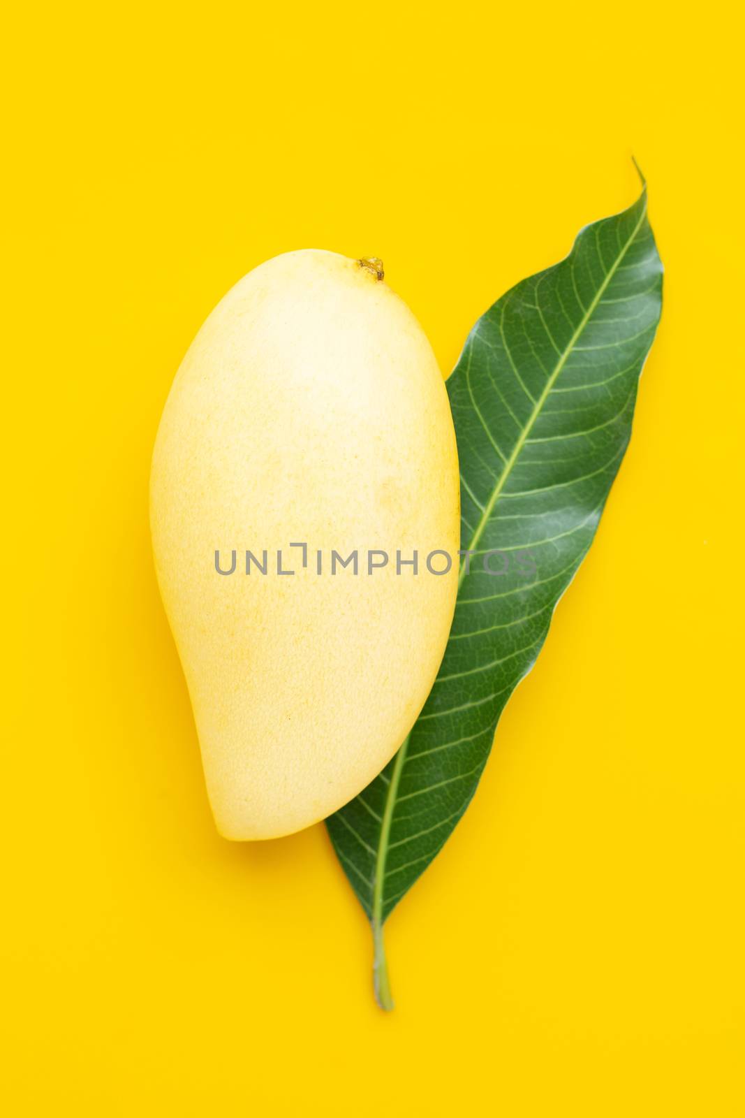 Tropical fruit, Mango with leaves on yellow background. by Bowonpat