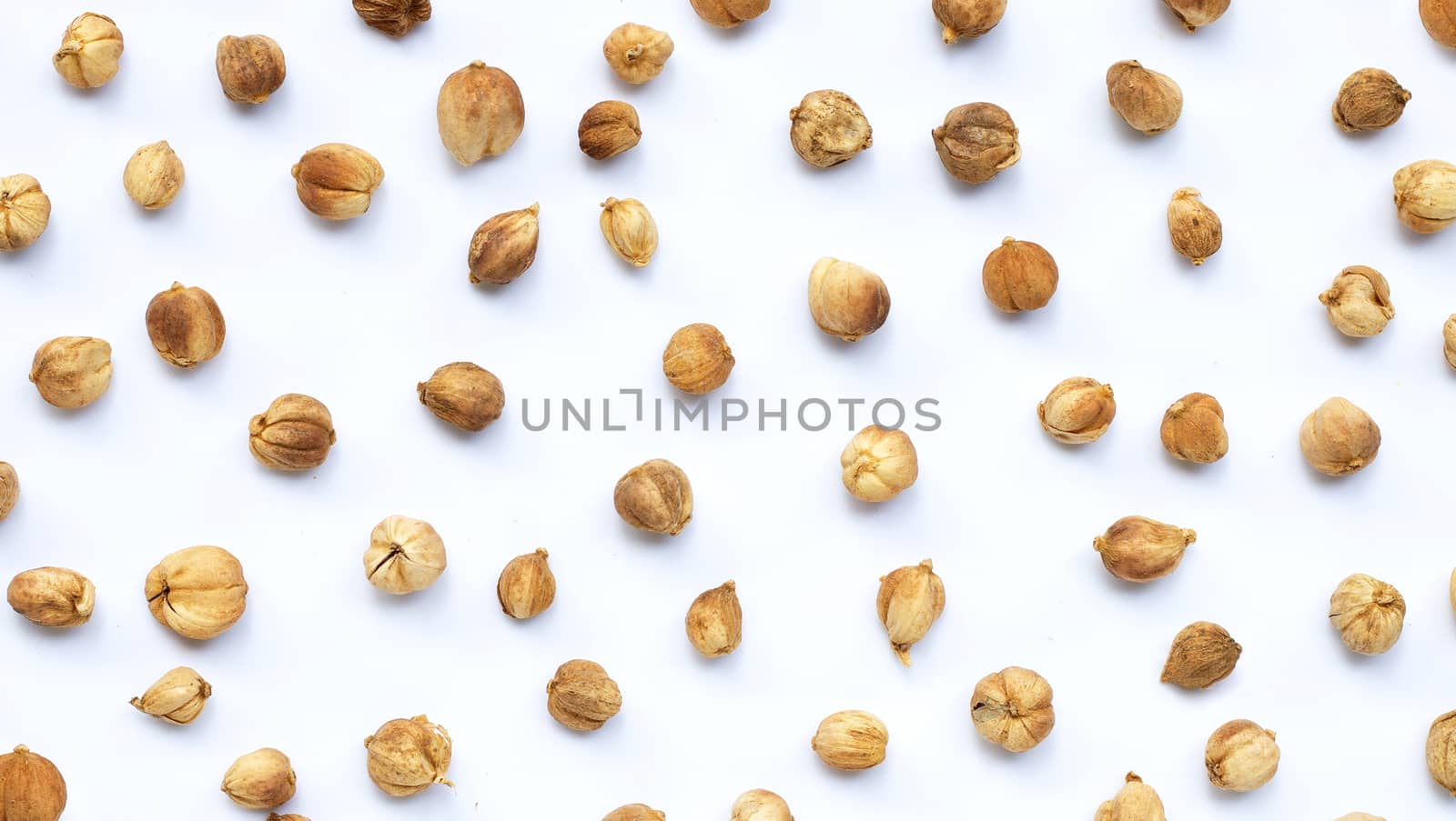 Siam Cardamom or Kapulaga on white background.