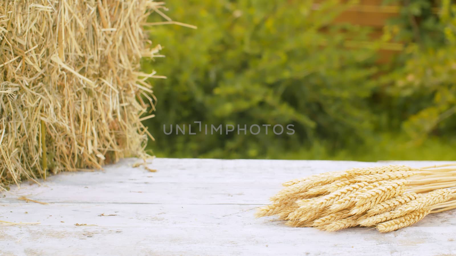 Close up ripe rye ears and fresh hay on wooden table outdoors. Raw cereals macro. Natural background