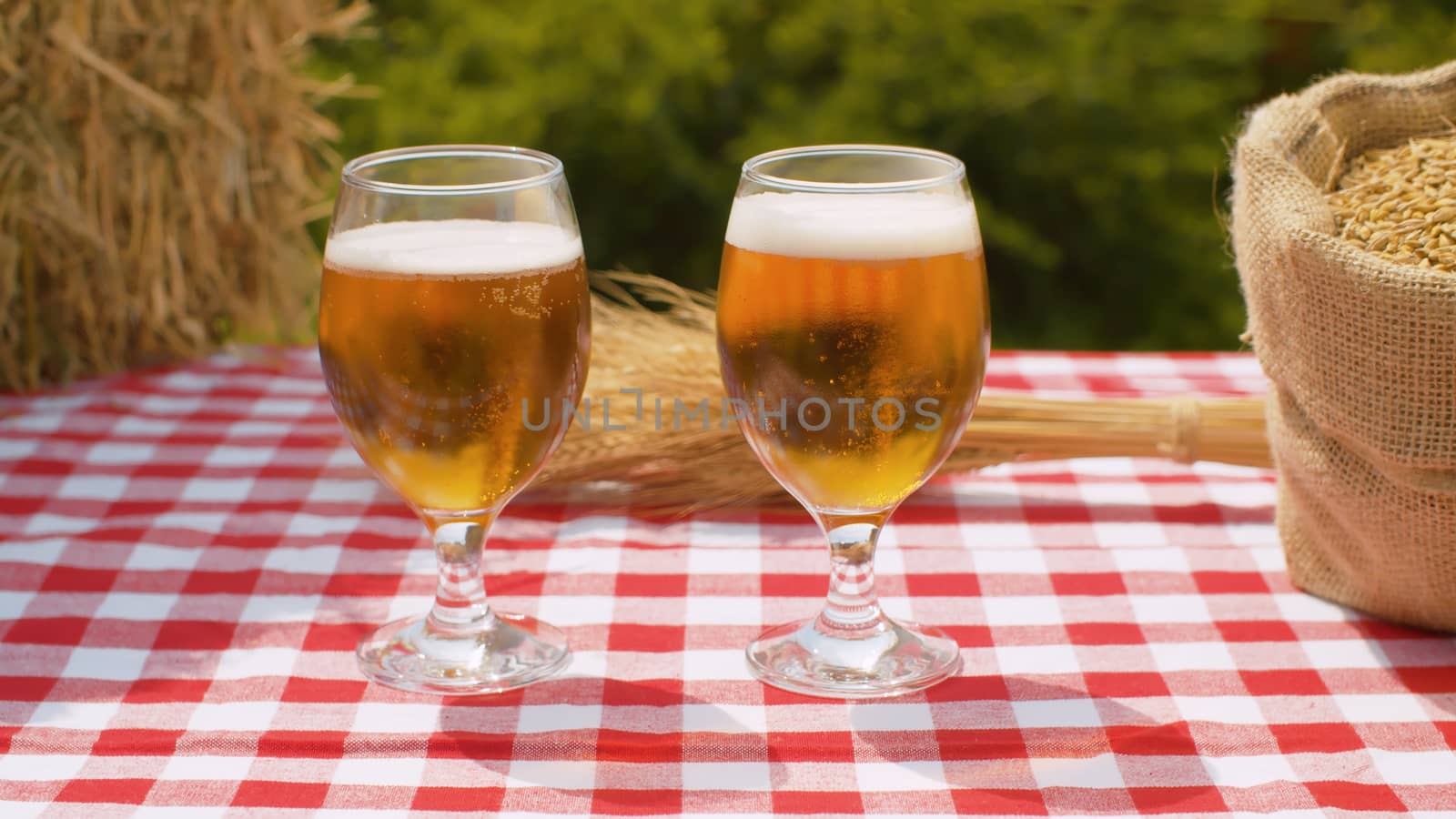 Two glasses of beer and grains by Alize